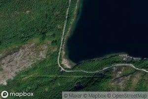 Krakvika