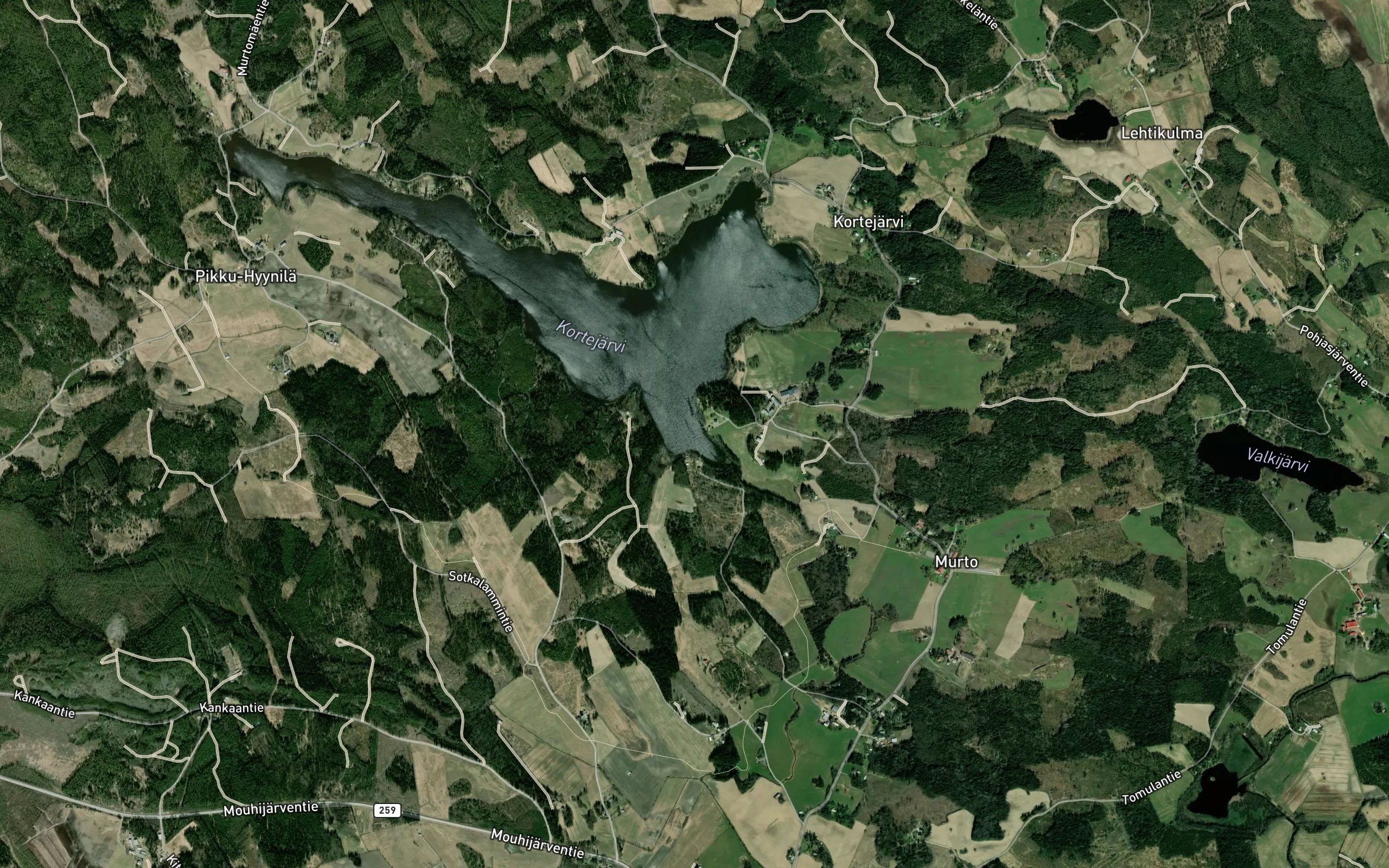 Talvisuonlahti