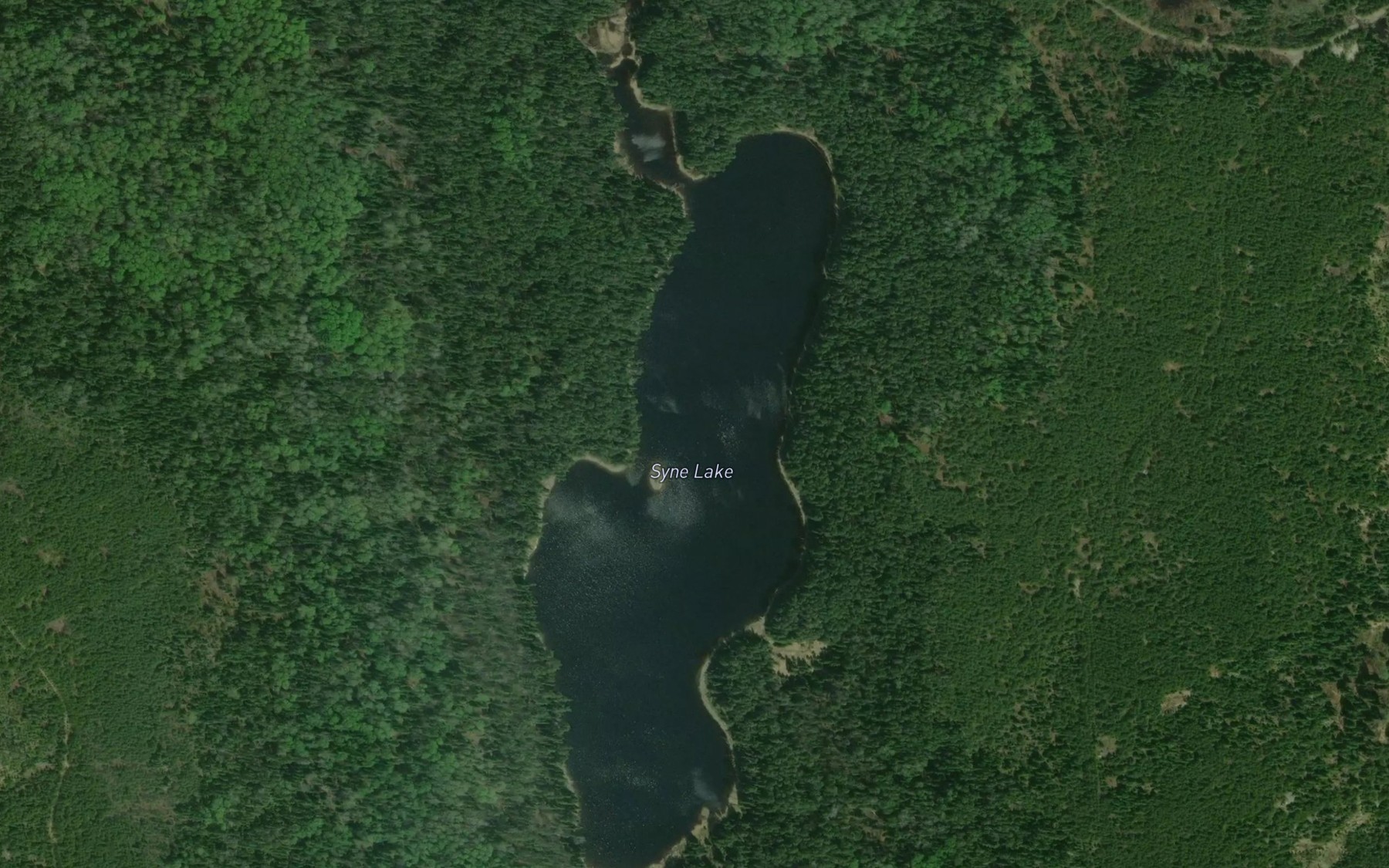 Satellite map of the Syne Lake