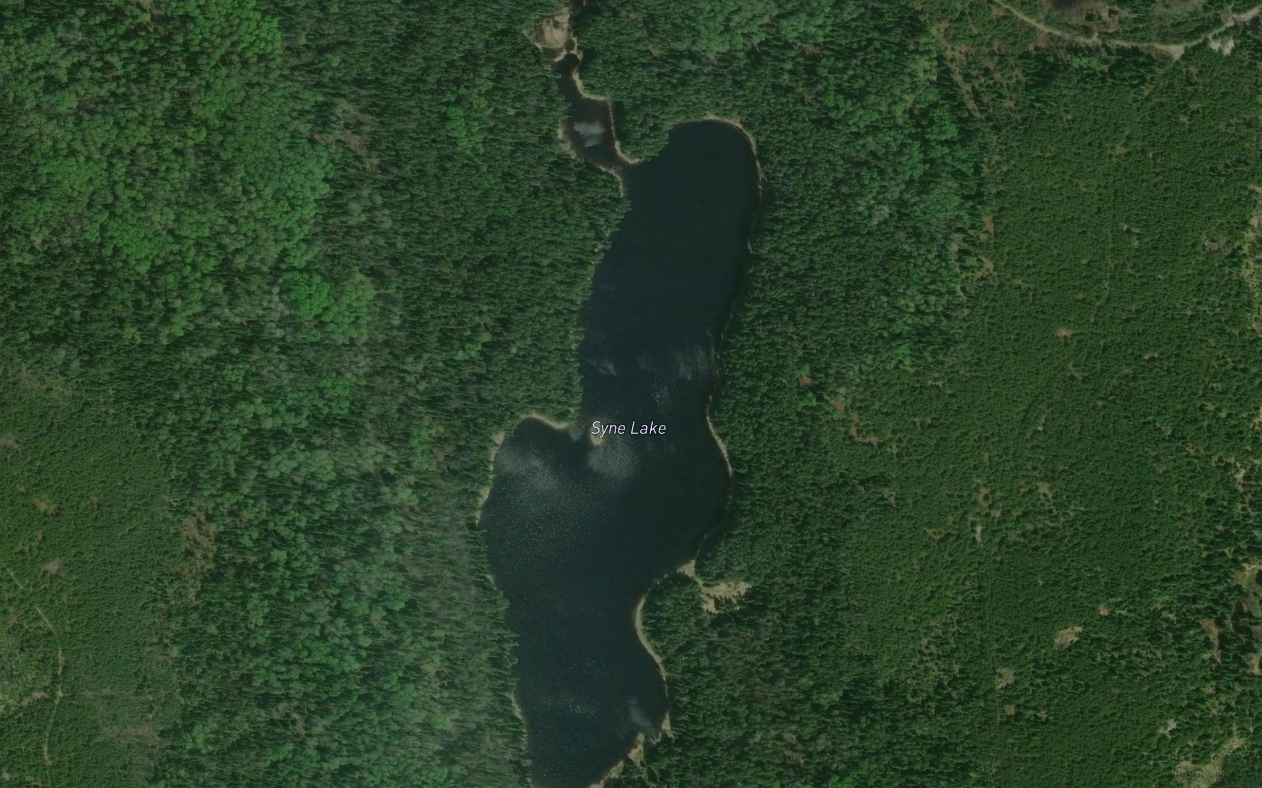 Syne Lake