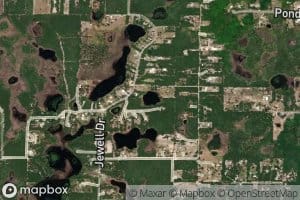 Cooter Pond