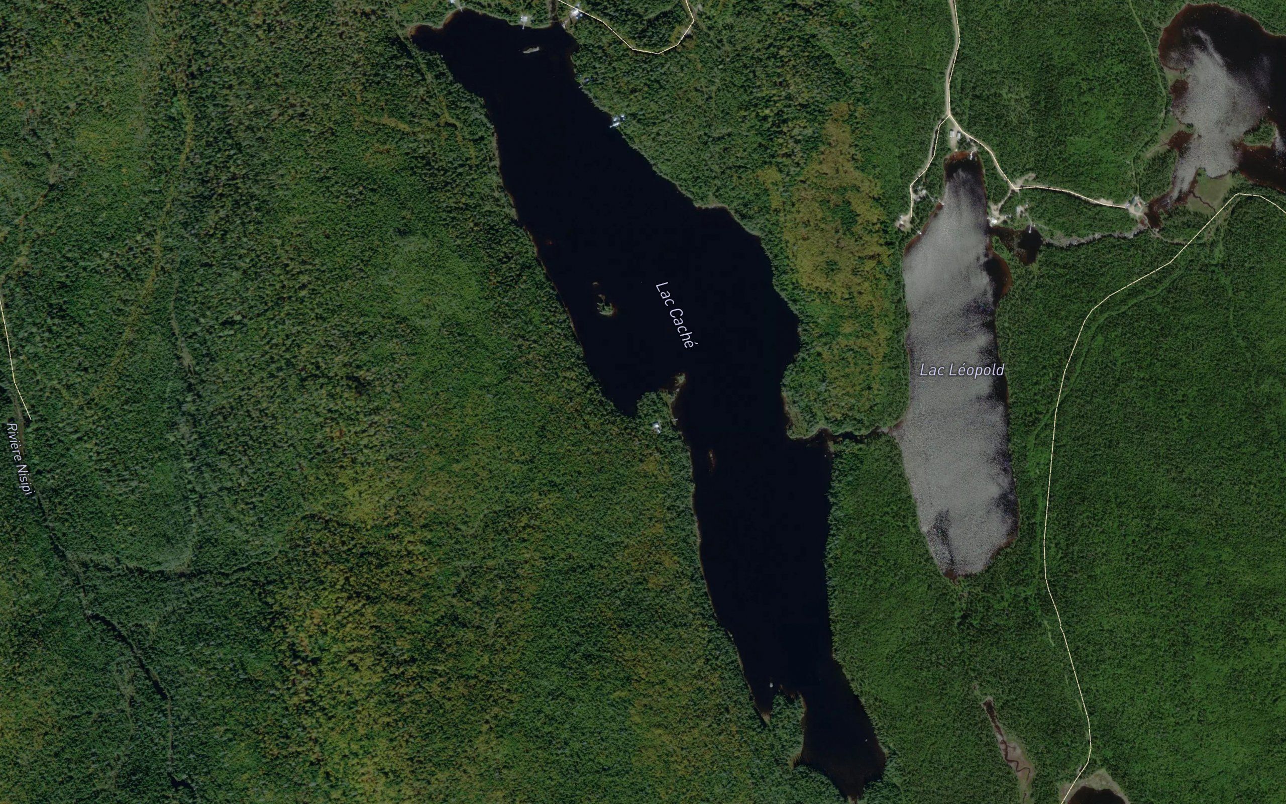 Lac Cache