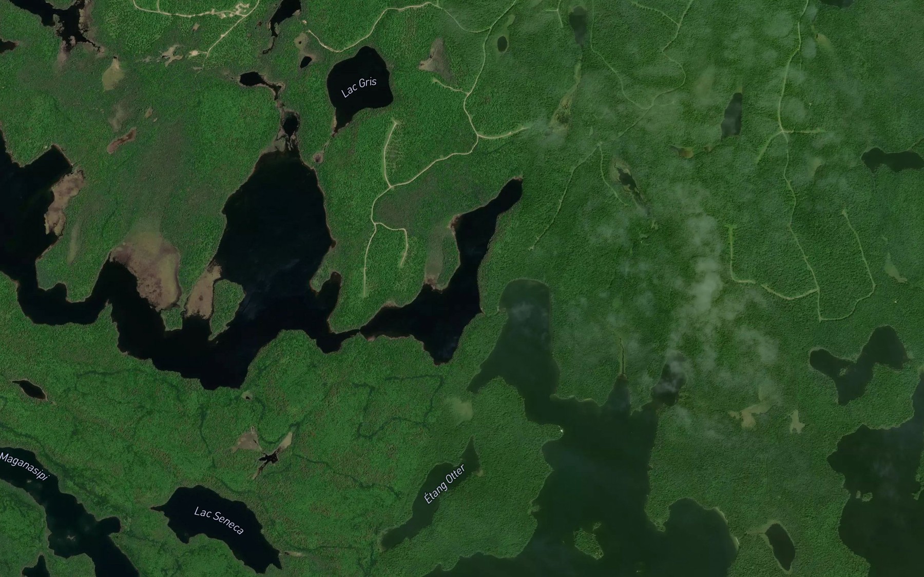 Satellite map of the Petit lac Bleu