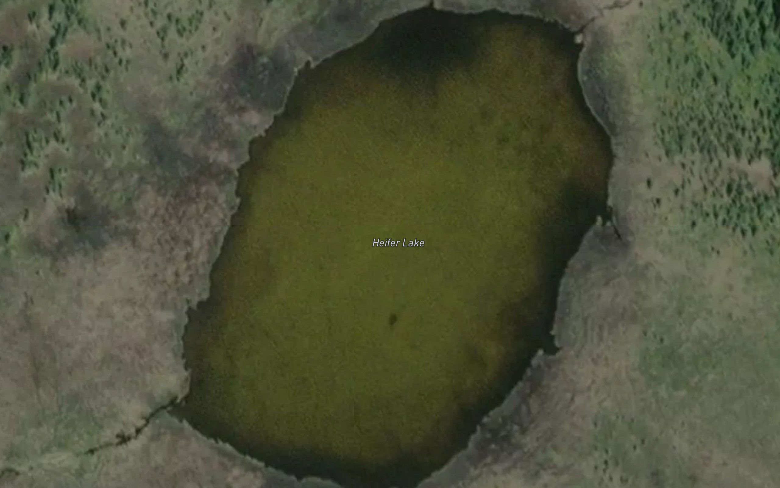 Heifer Lake