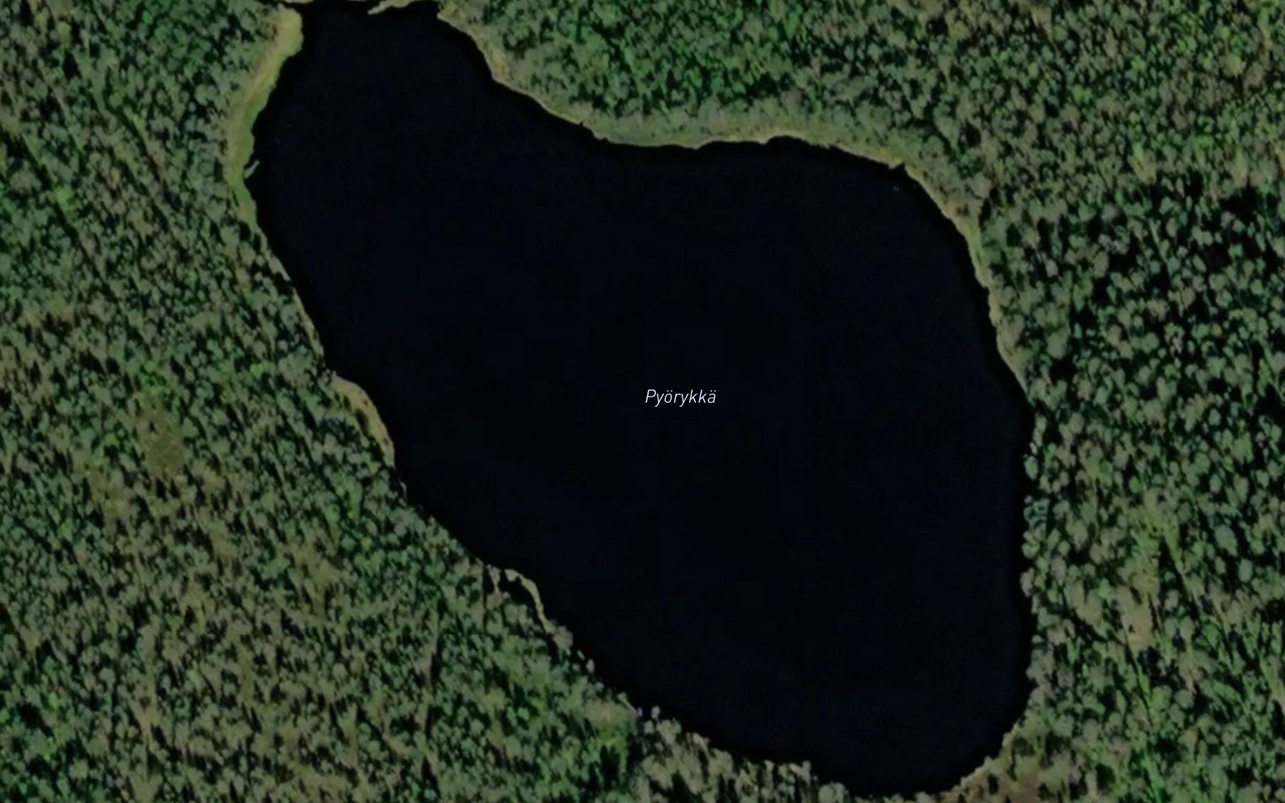 Pyorykka