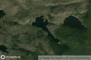 Lac Betula