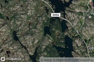 Laukkjaertjorna