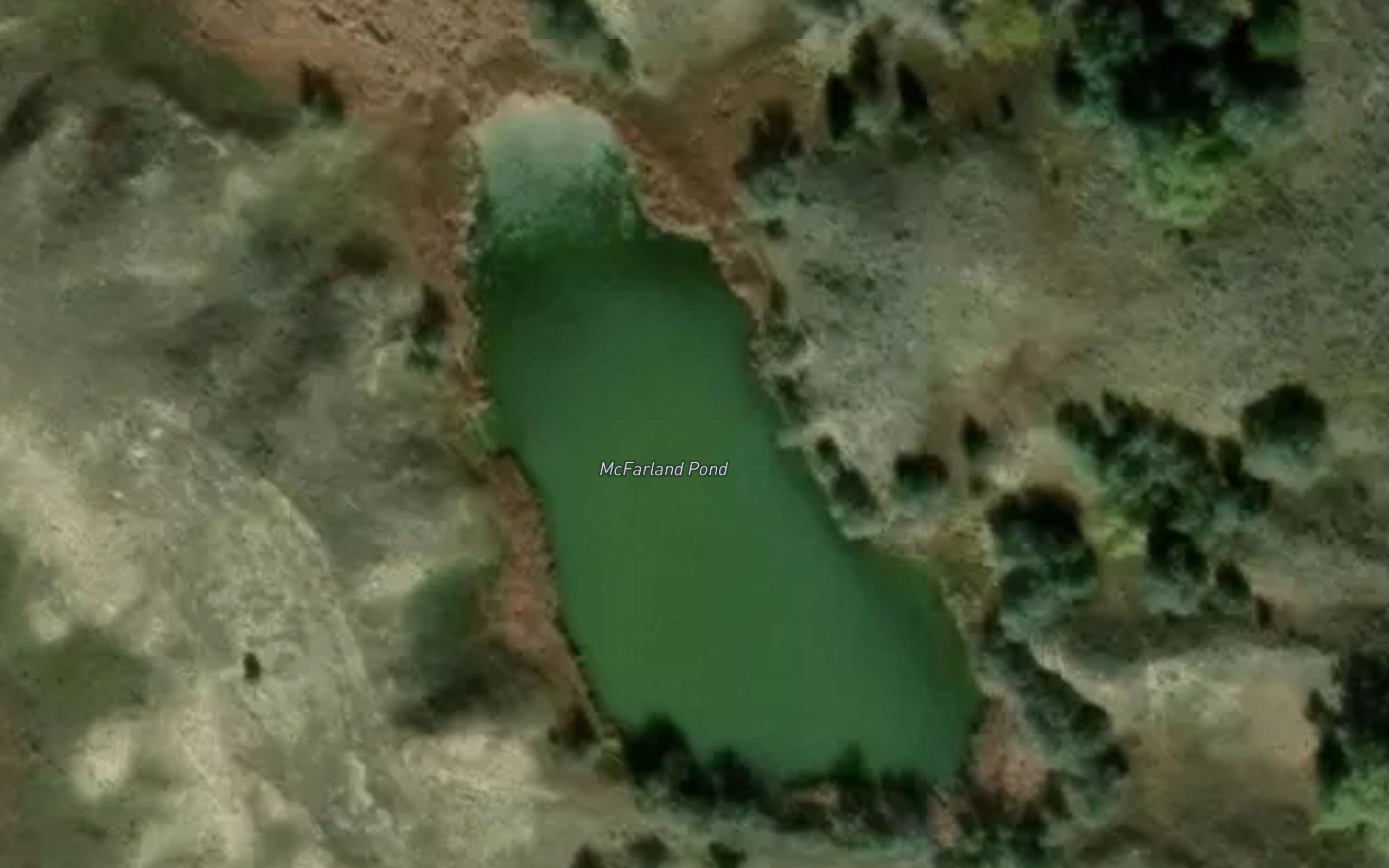 McFarland Pond
