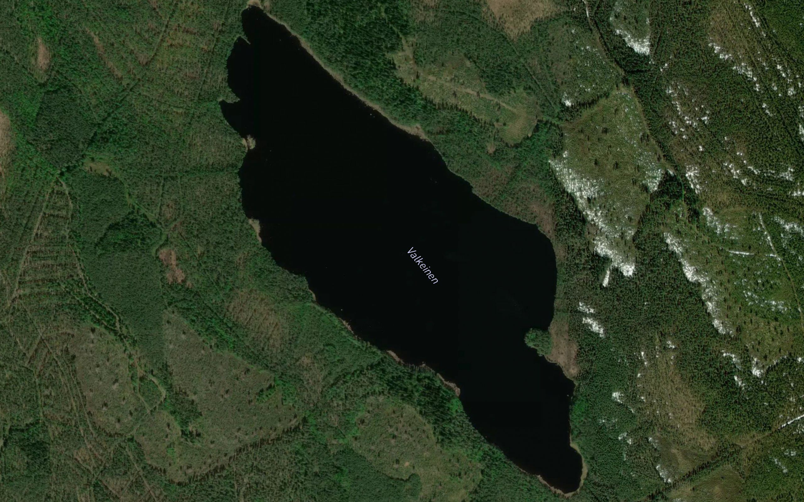 Valkeinen