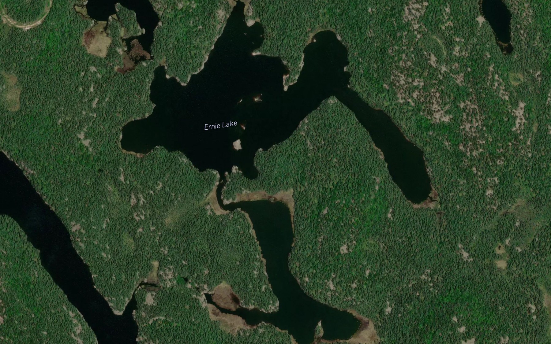 Satellite map of the Ernie Lake