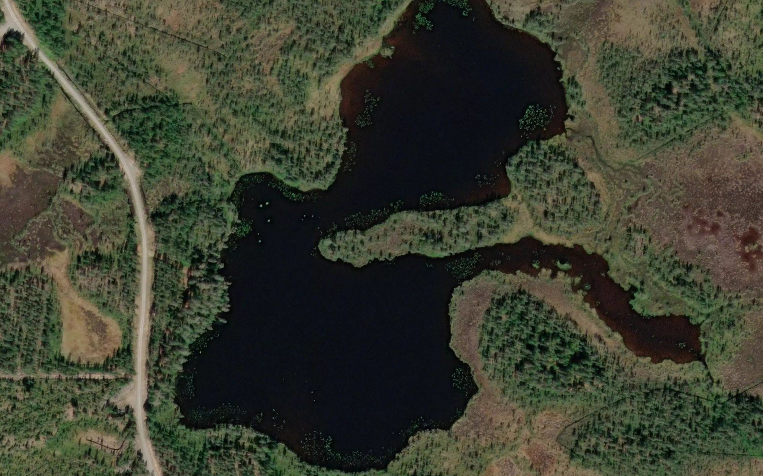 Sarkilampi