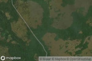 Mapunga