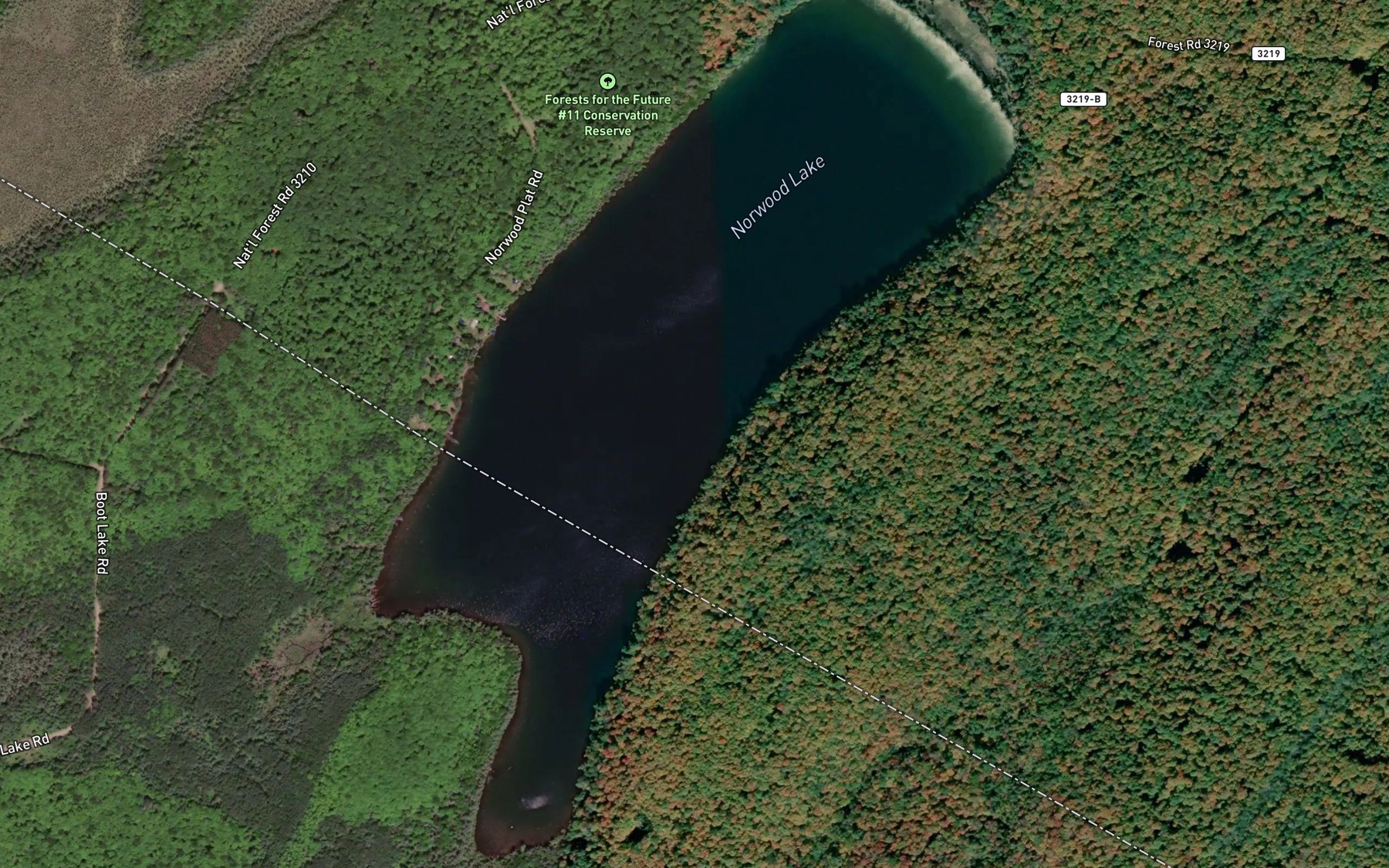 Satellite map of the Norwood Lake