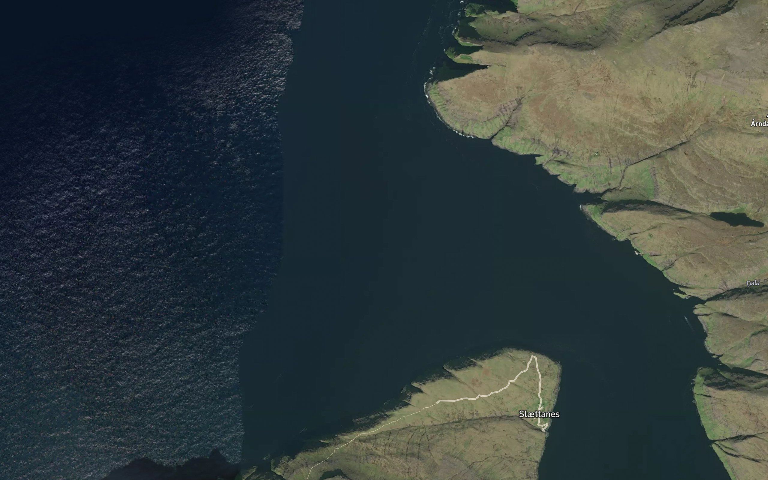 Vestmannaflogvi