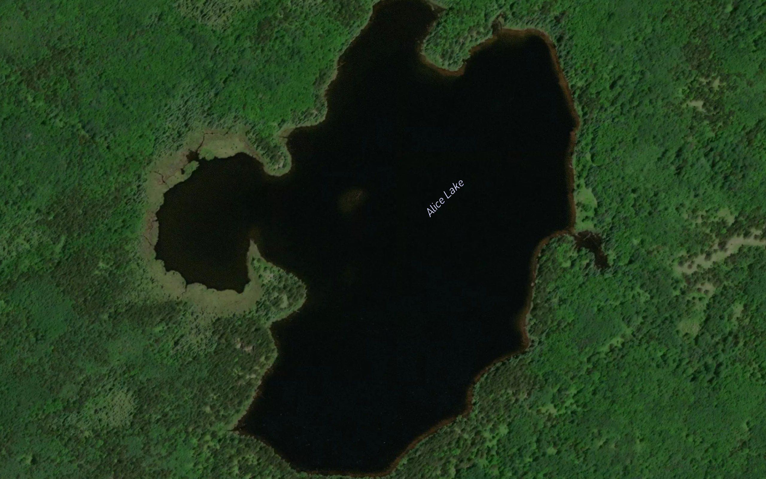 Alice Lake