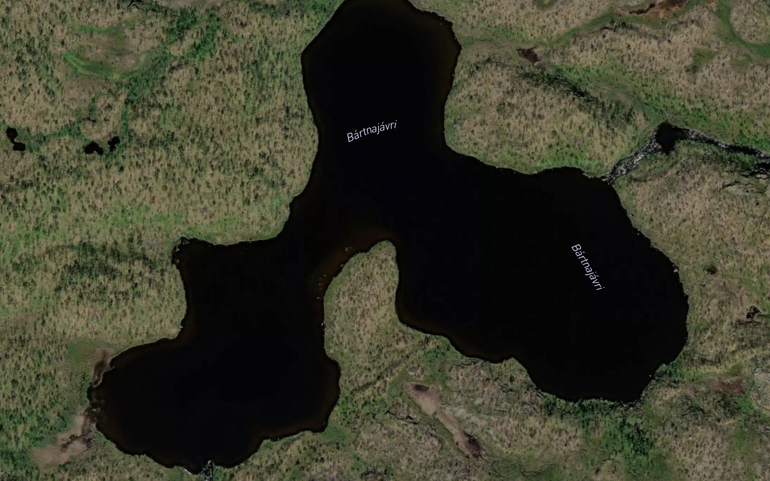 Bardnajavri