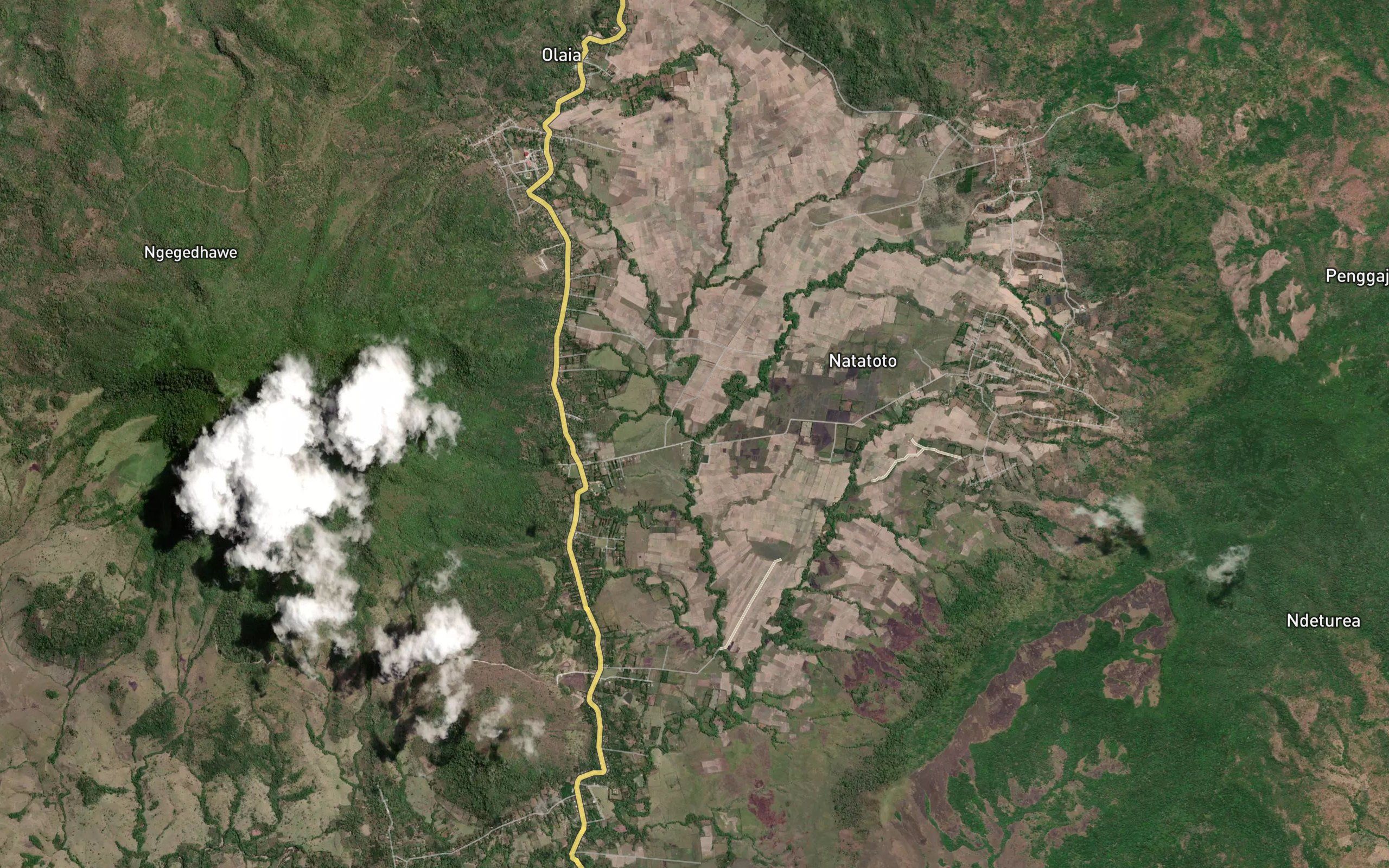 Lowo Tiwubanda
