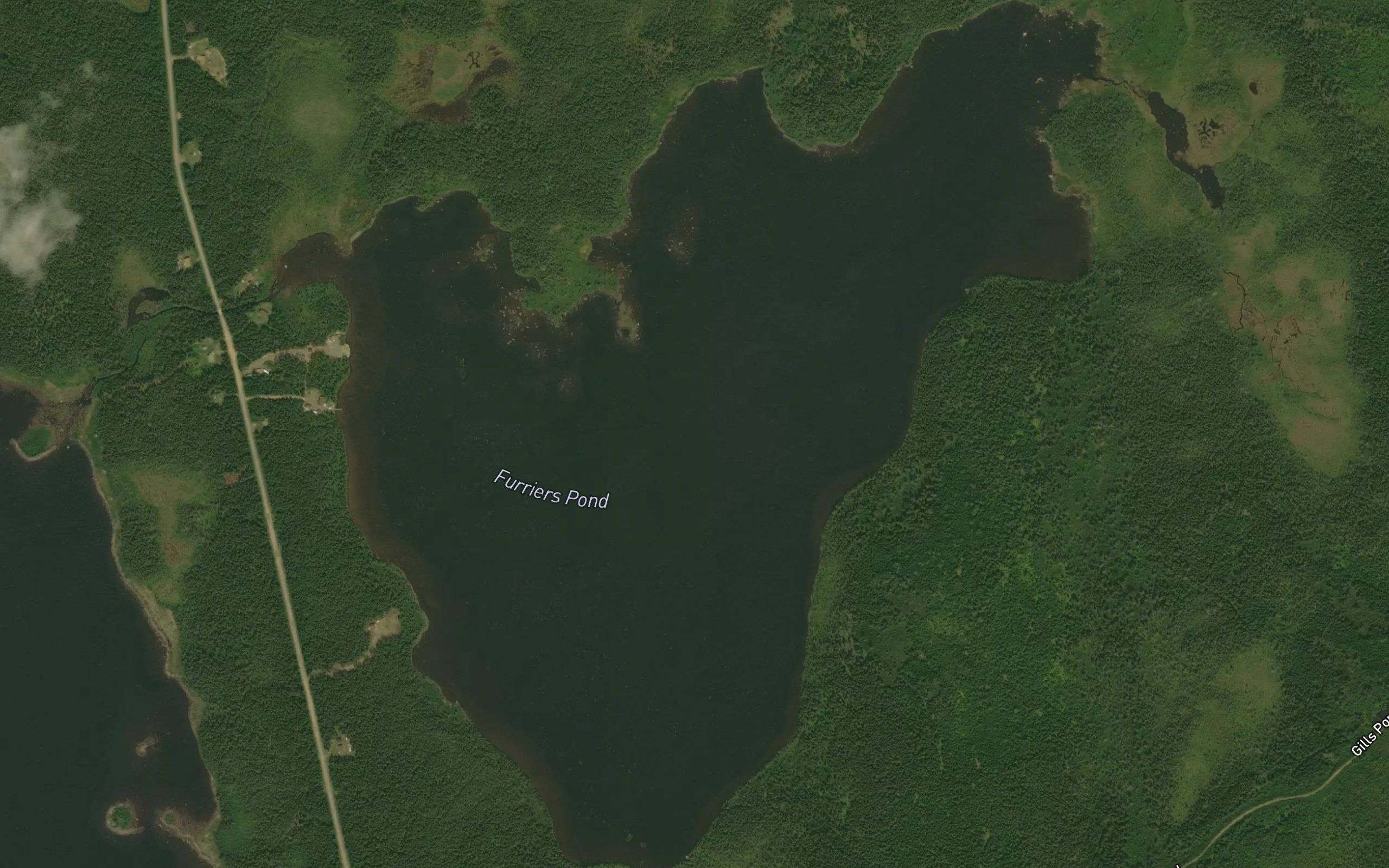 Perriers Pond
