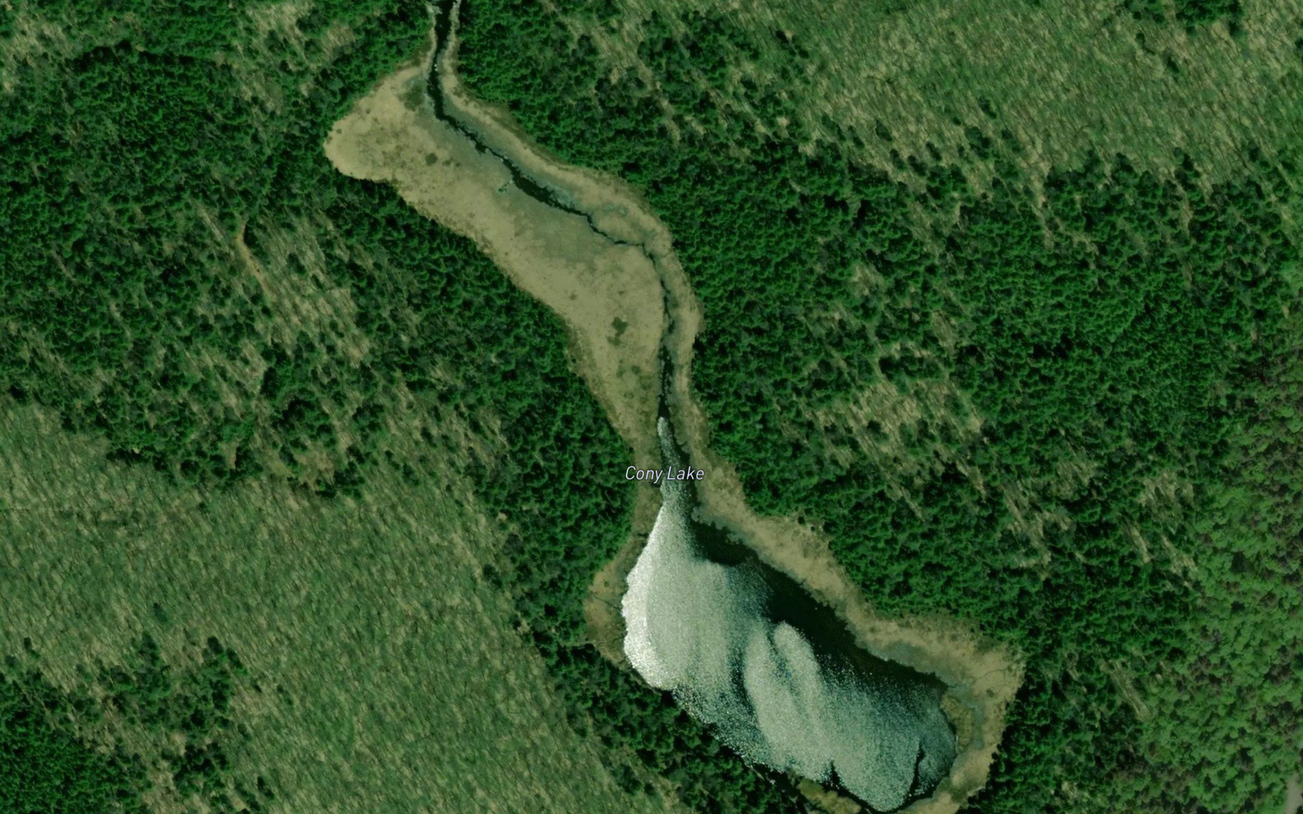 Cony Lake