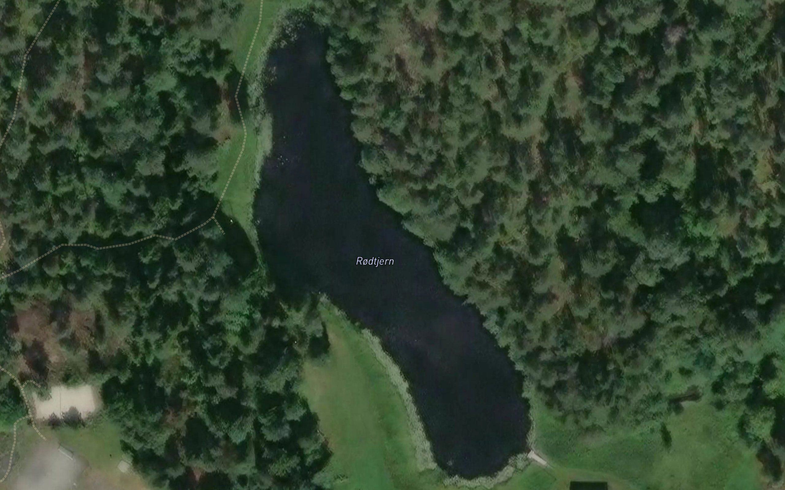 Rodtjern