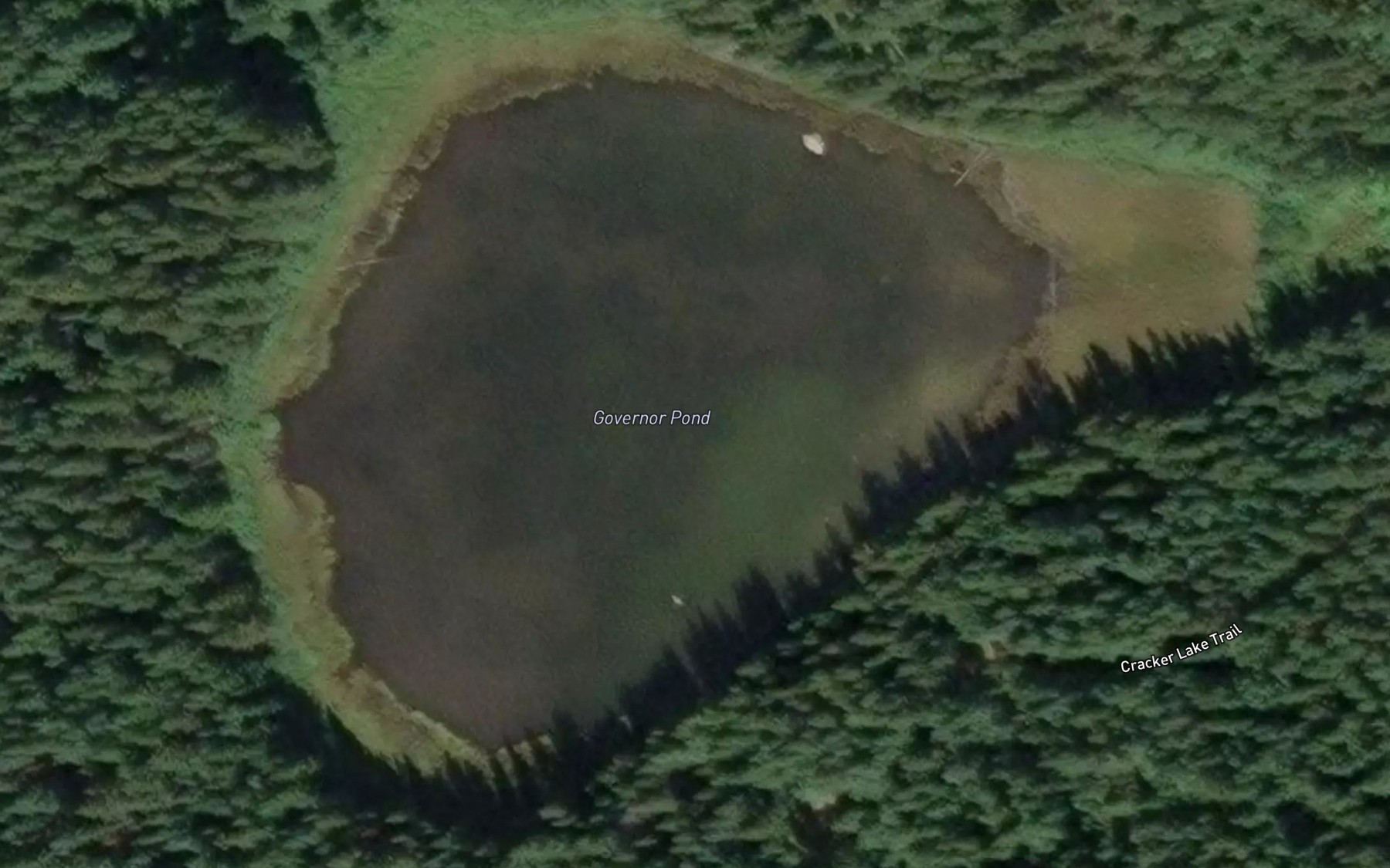 Satellite map of the Governor Pond