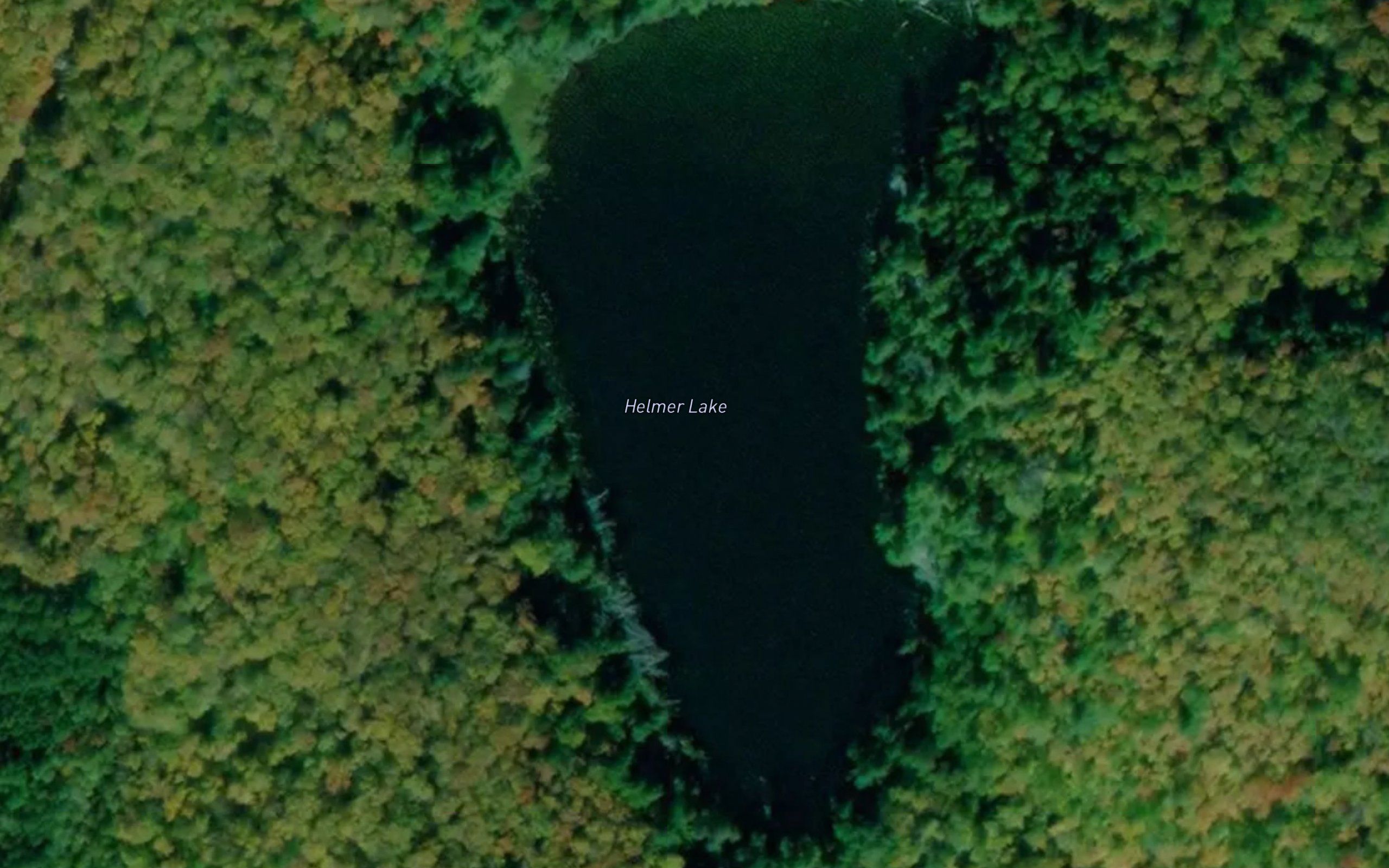 Helmer Lake