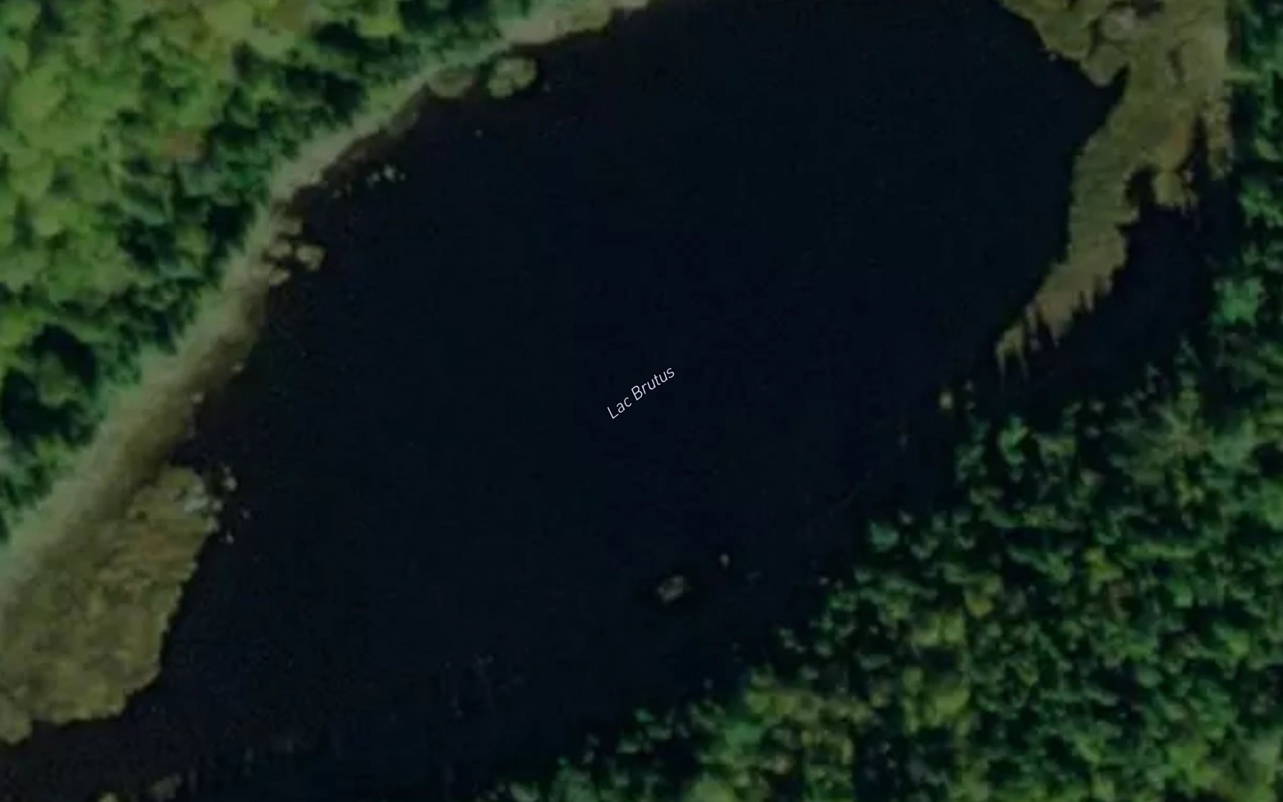 Satellite map of the Lac Brutus