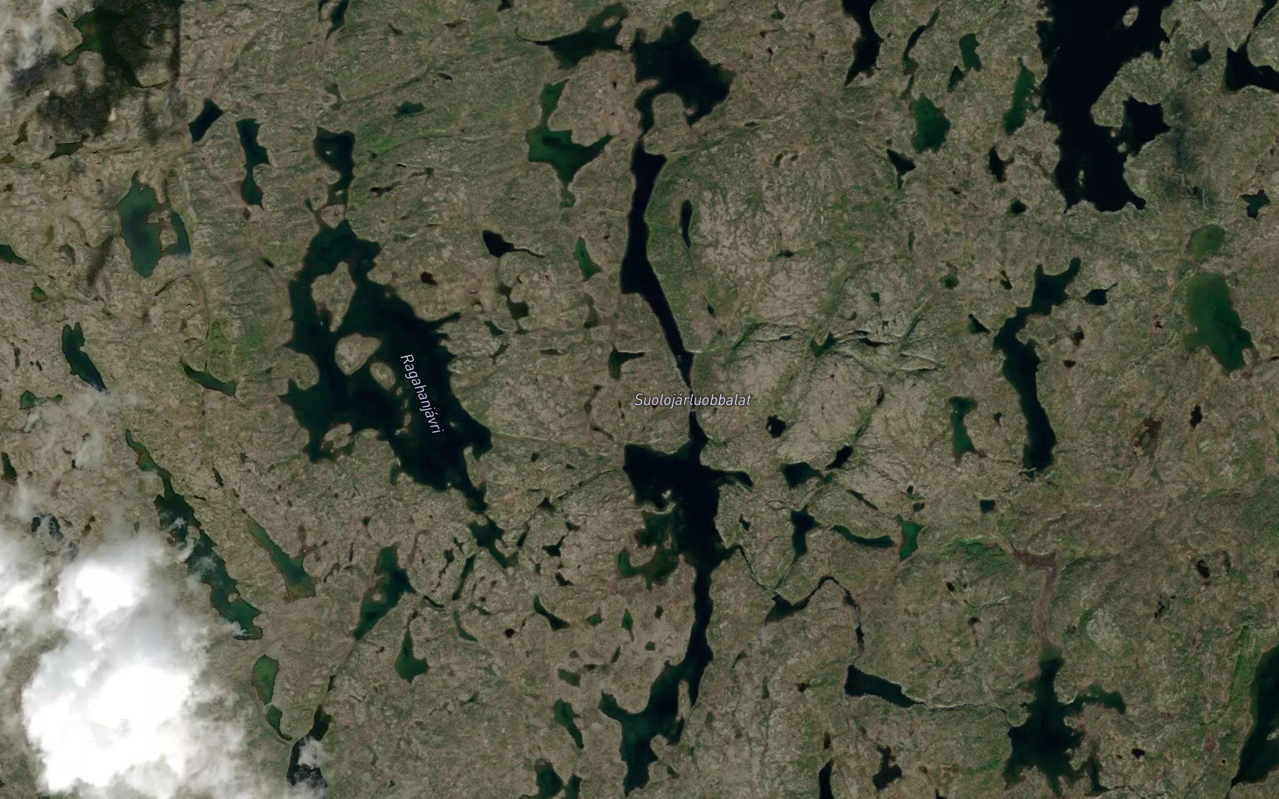 Suolujarluobbalat