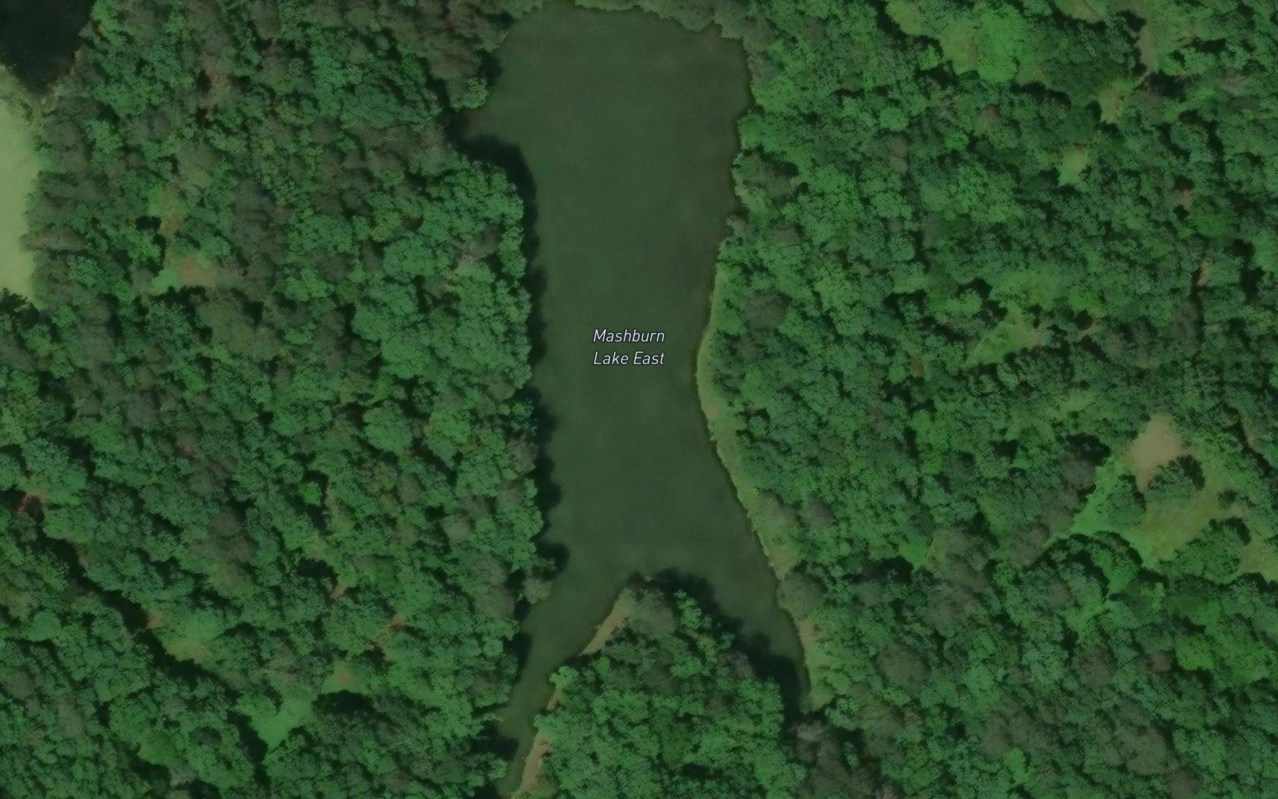 Mashburn Lake East