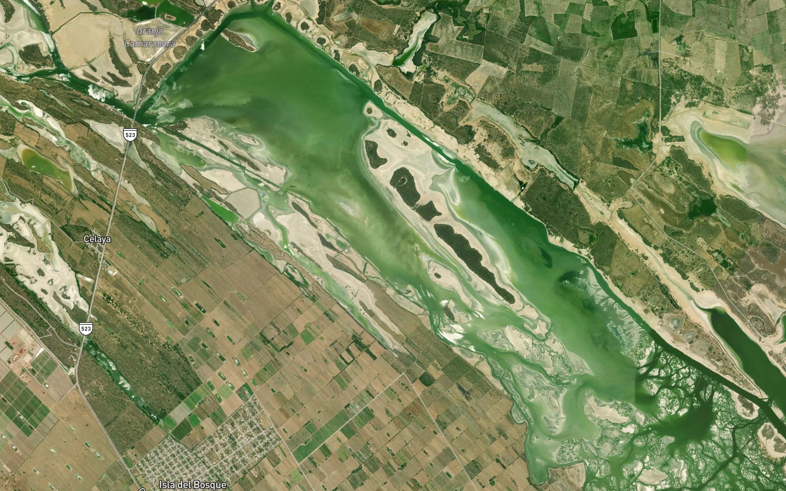 Navajas