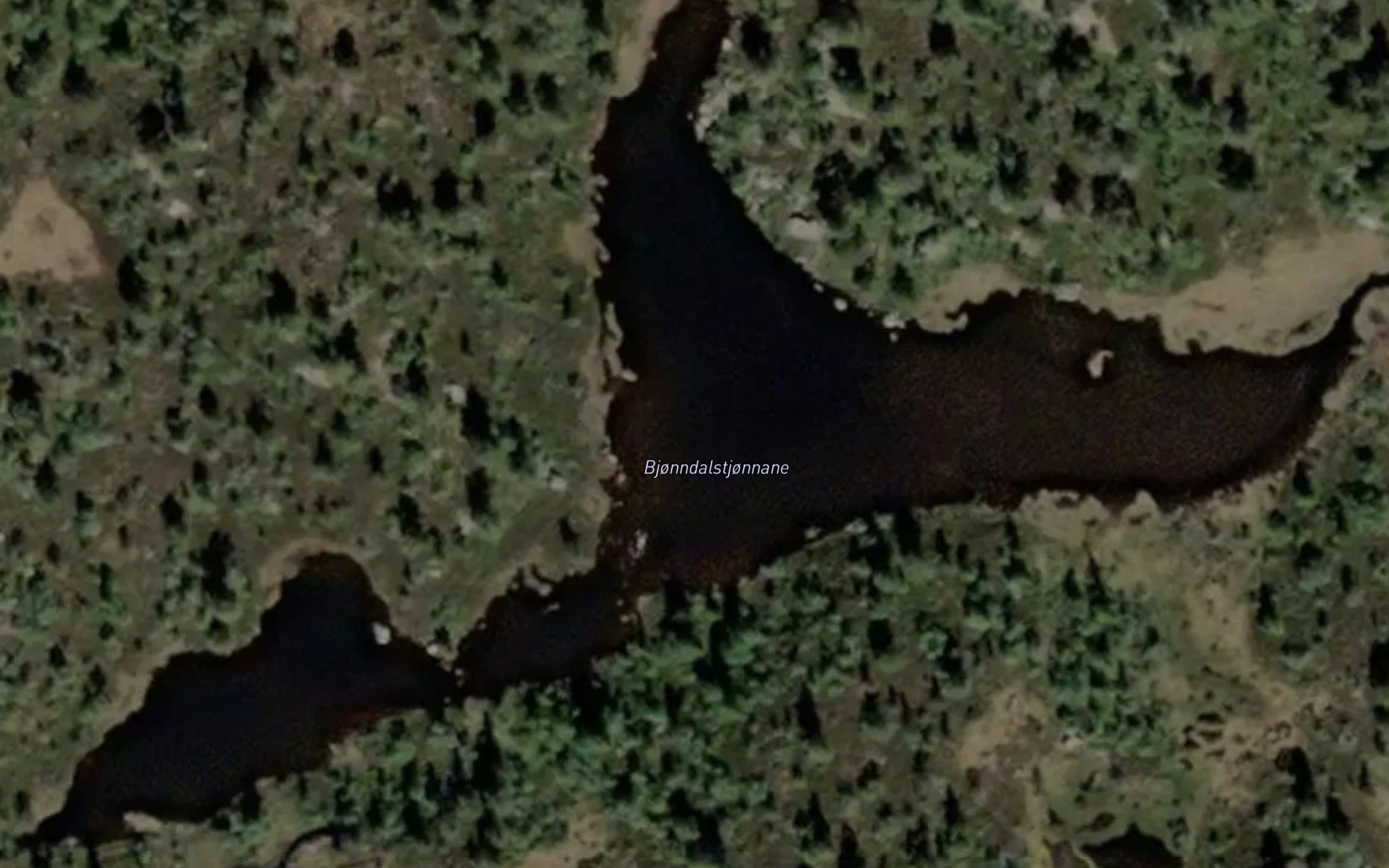 Bjorndalstjornane