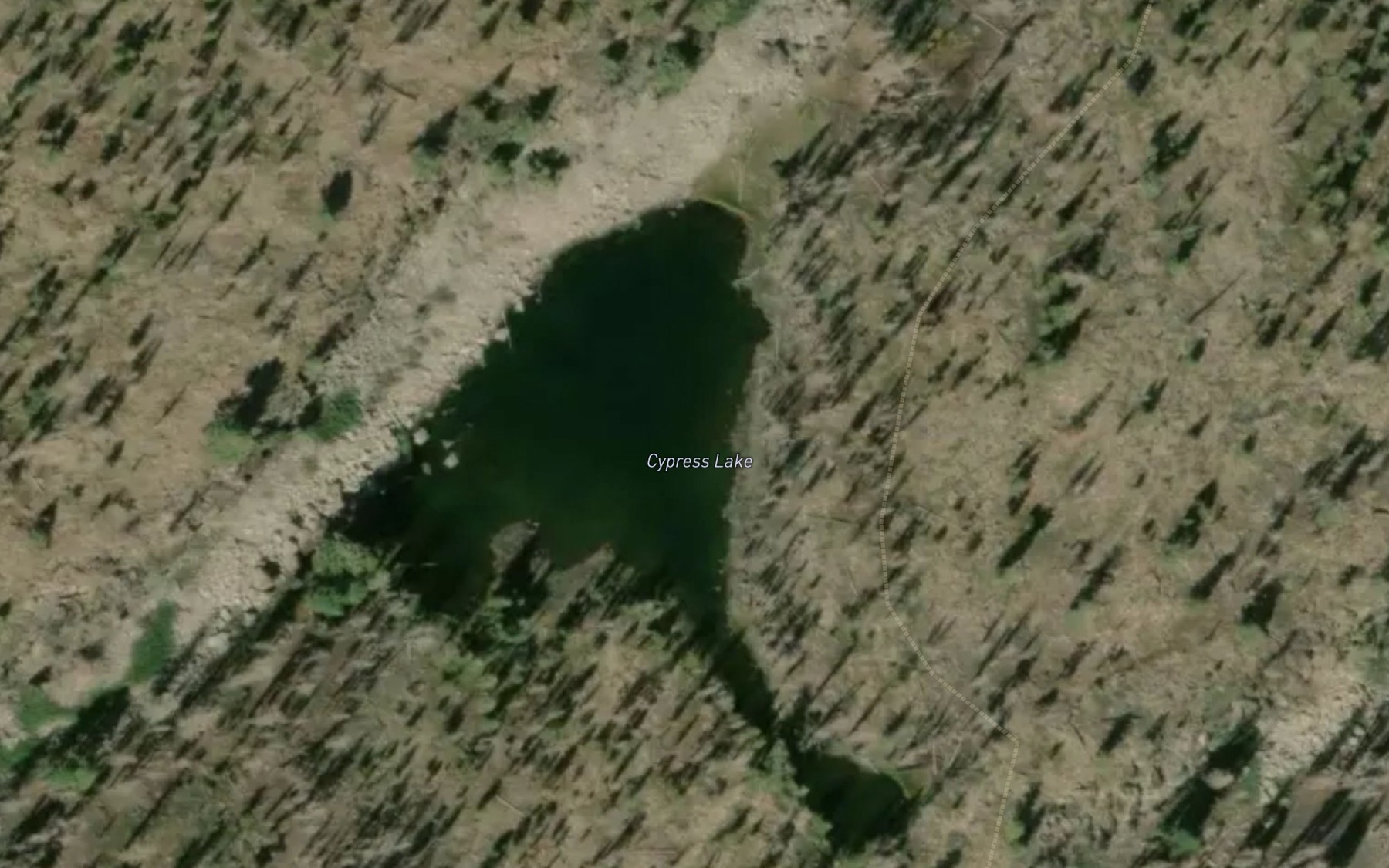 Satellite map of the Cypress Lake