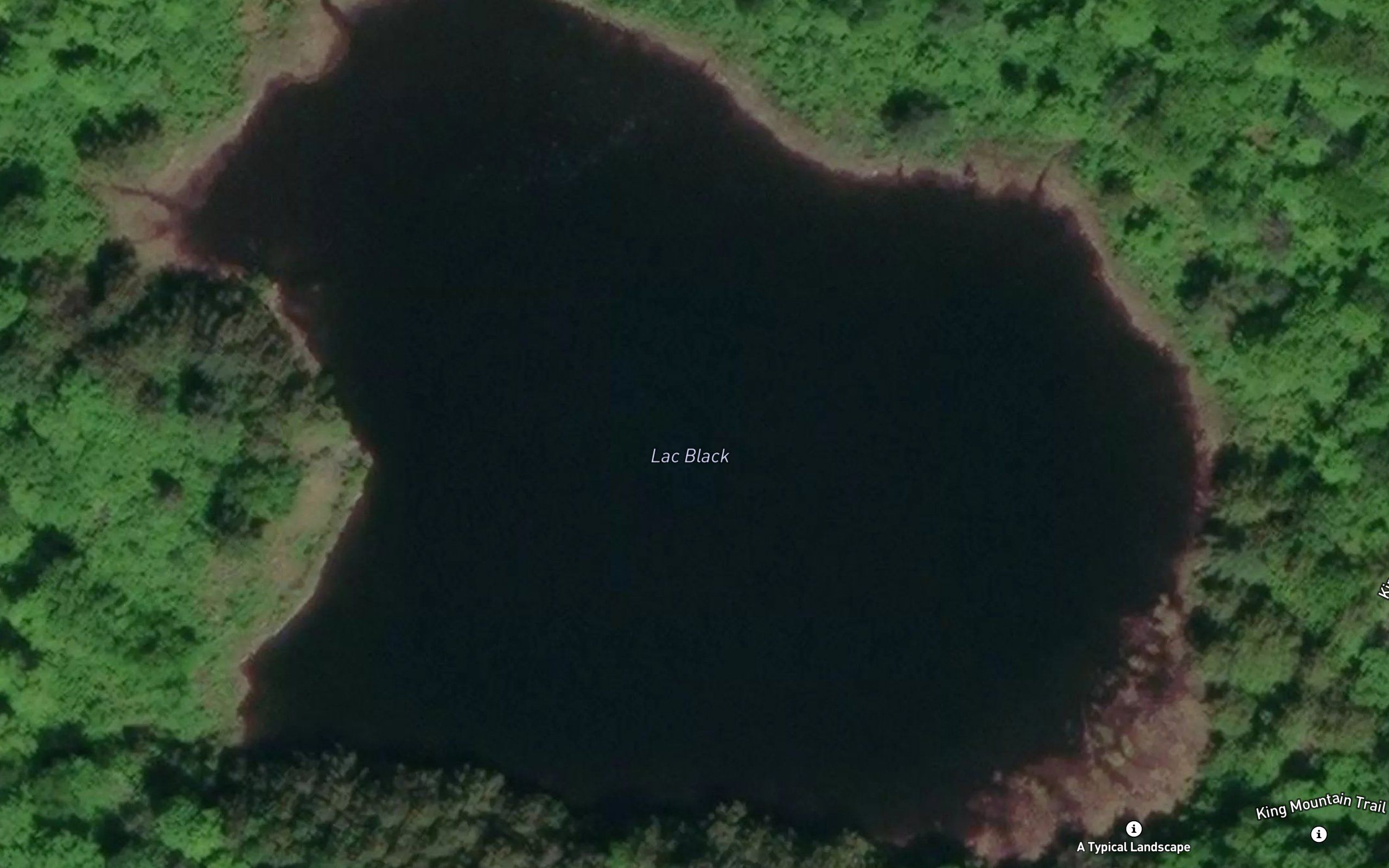 Lac Black