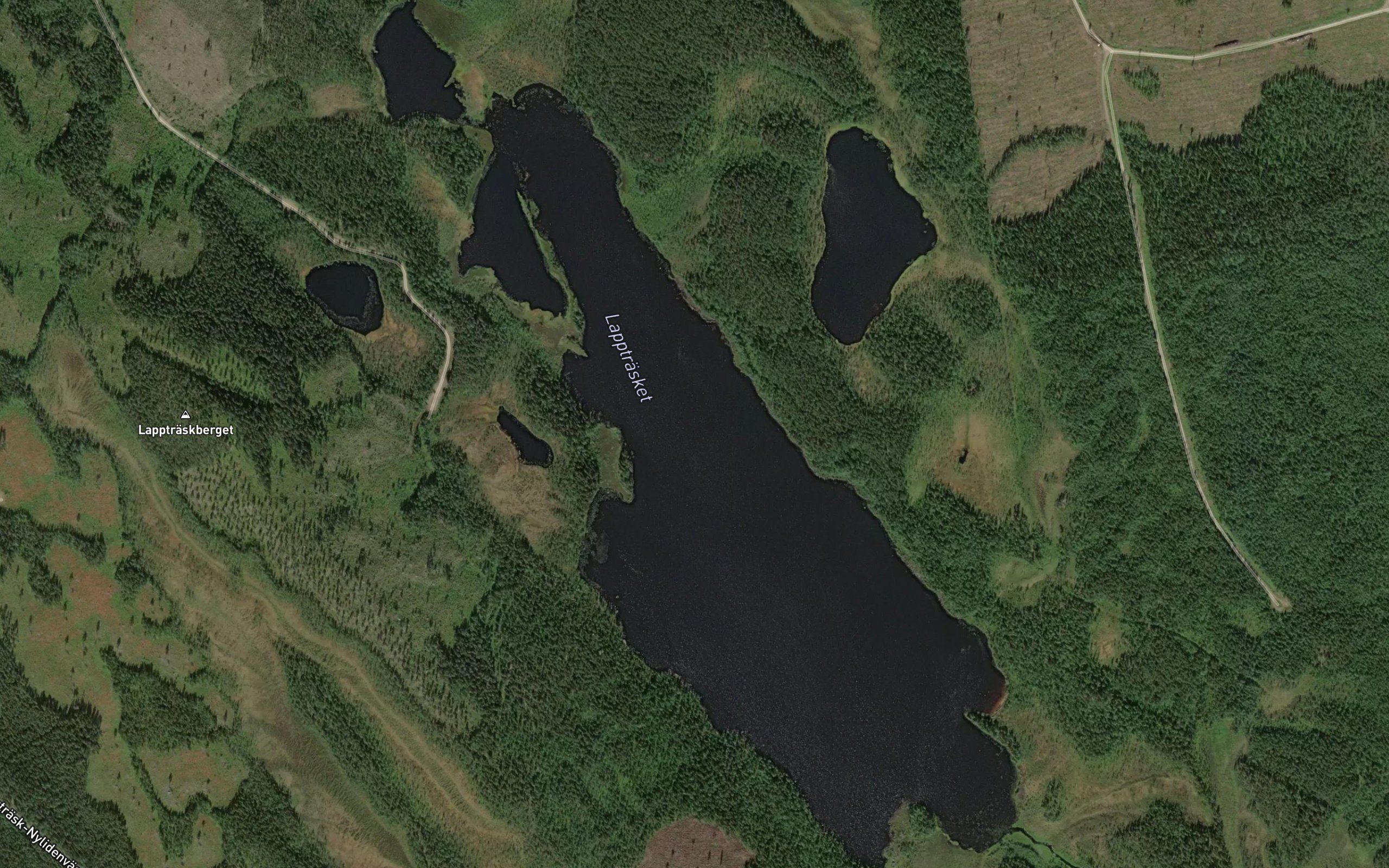 Lapptraesket