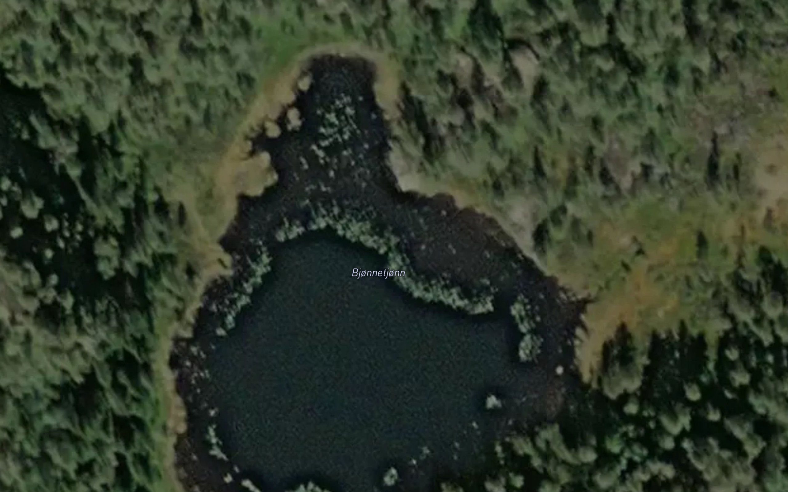 Bjornetjorn