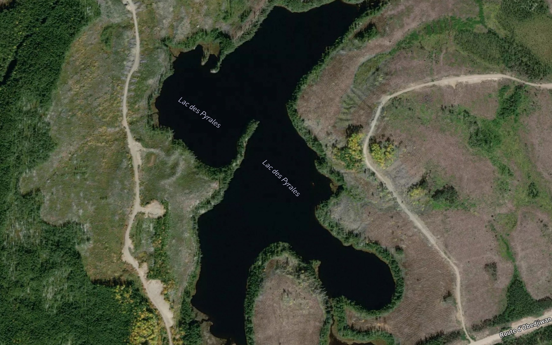 Satellite map of the Lac des Pyrales