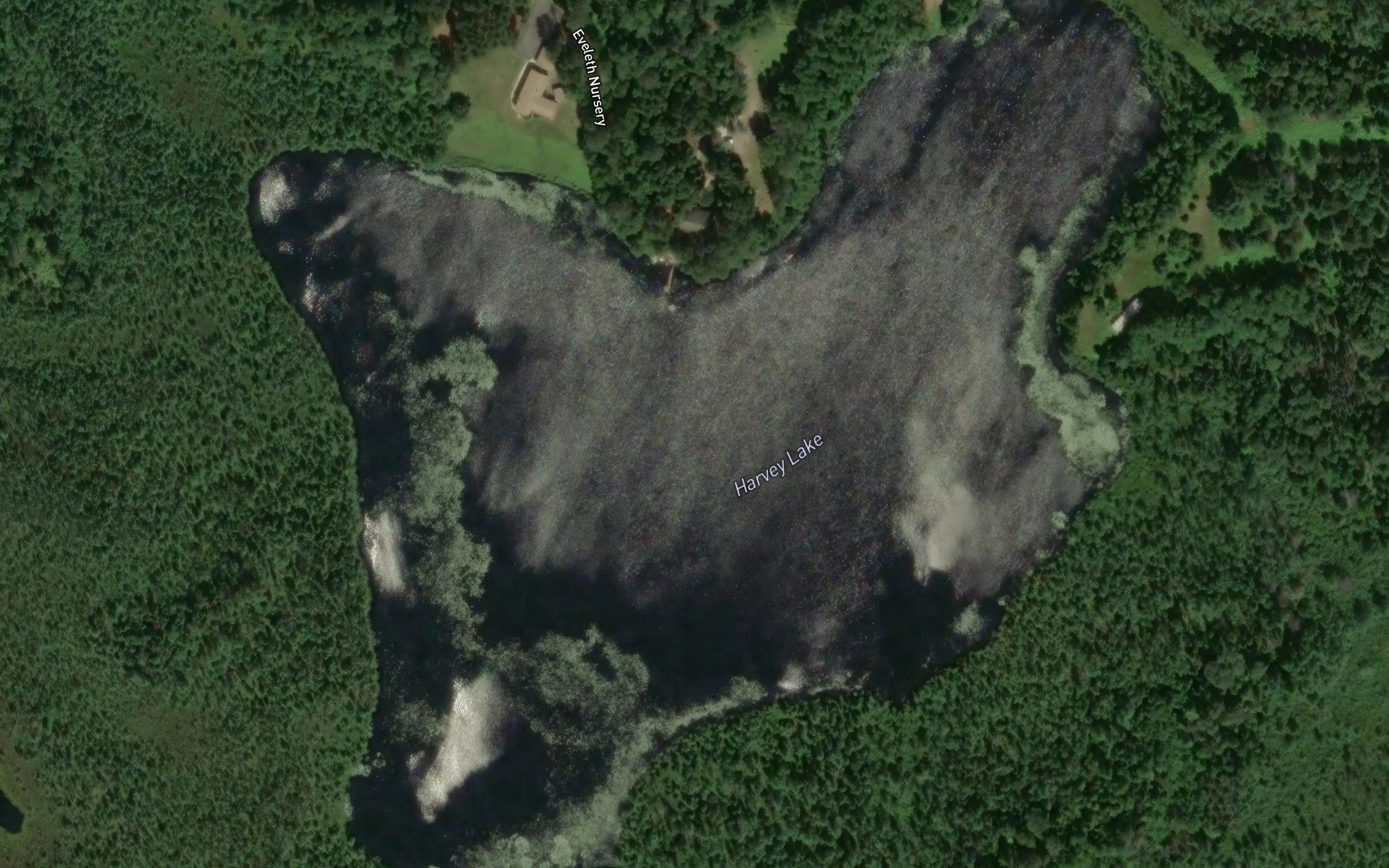 Harvey Lake
