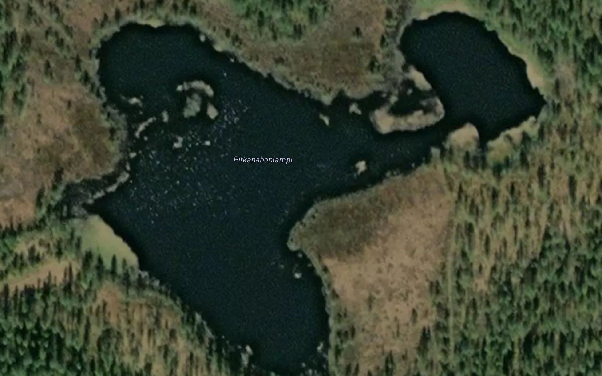 Pitkanahonlampi