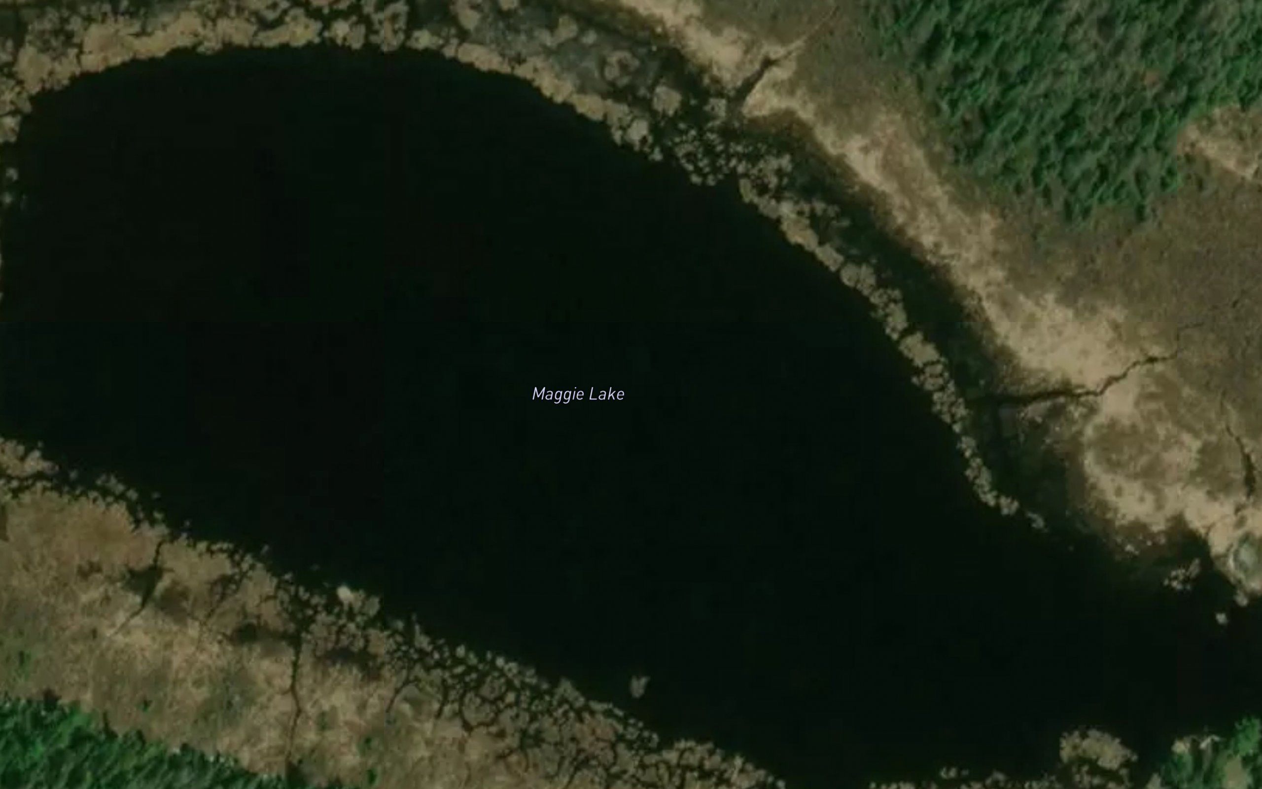 Maggie Lake
