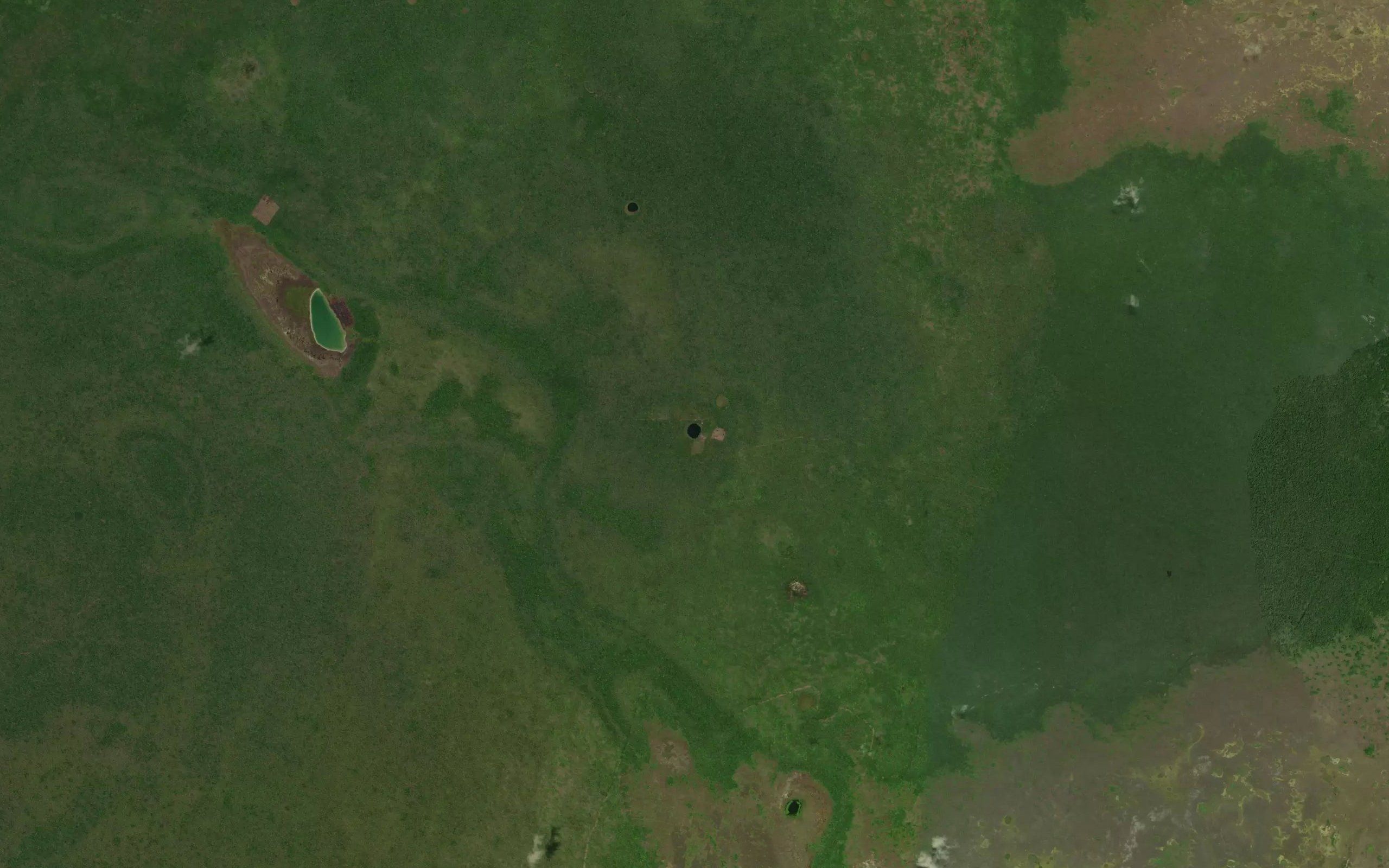 Laguna Xdominic