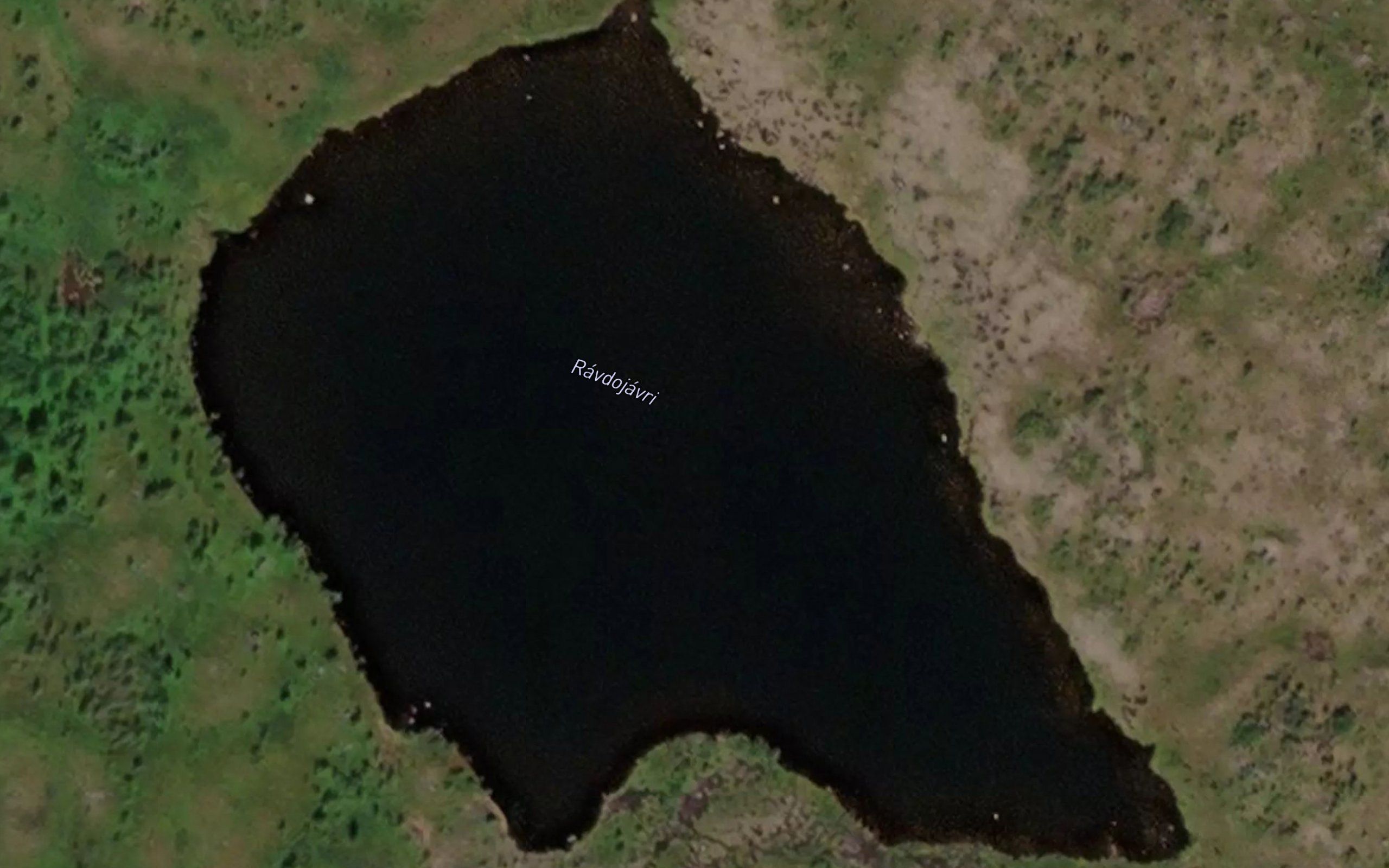 Ravdujavri