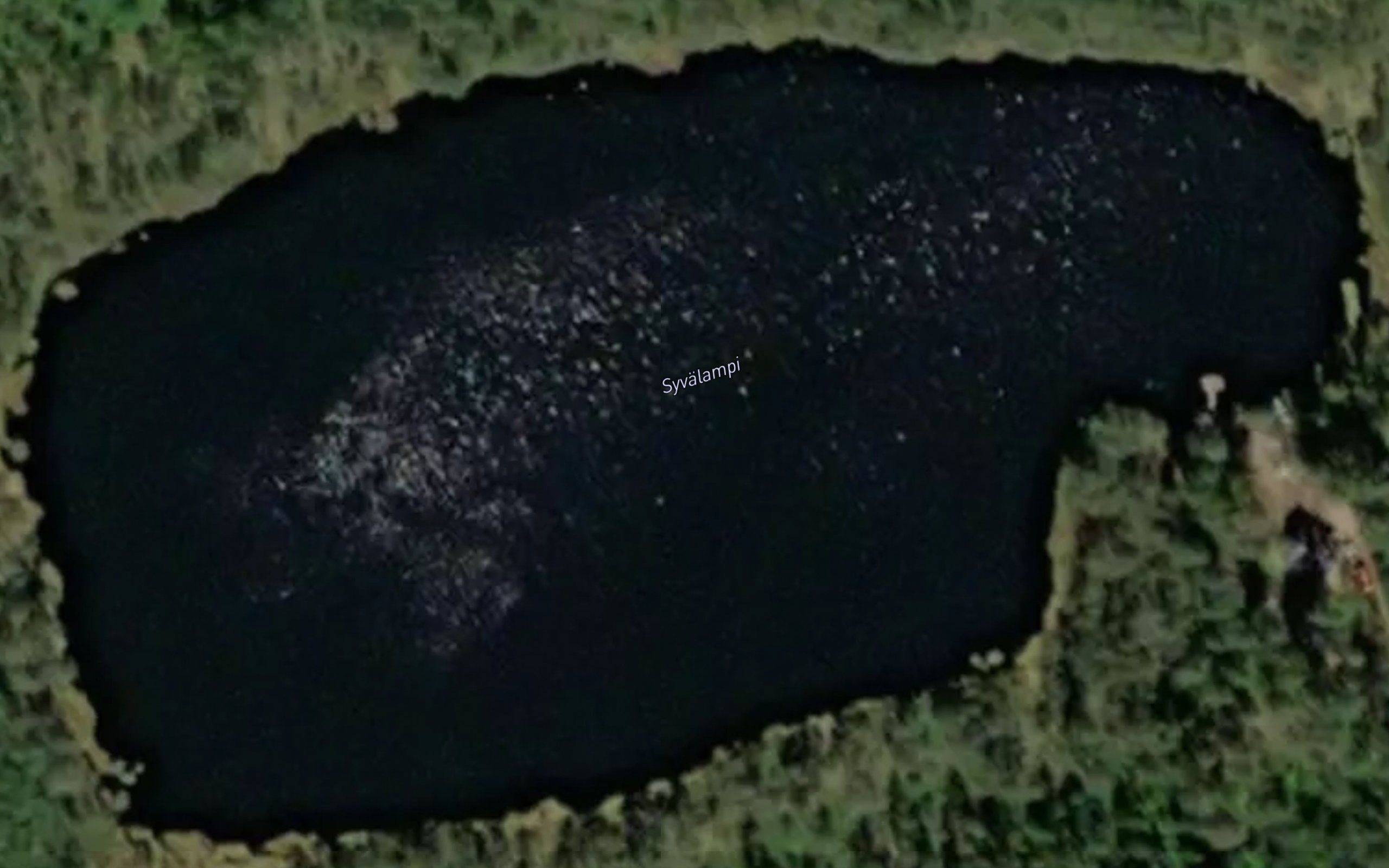 Syvalampi