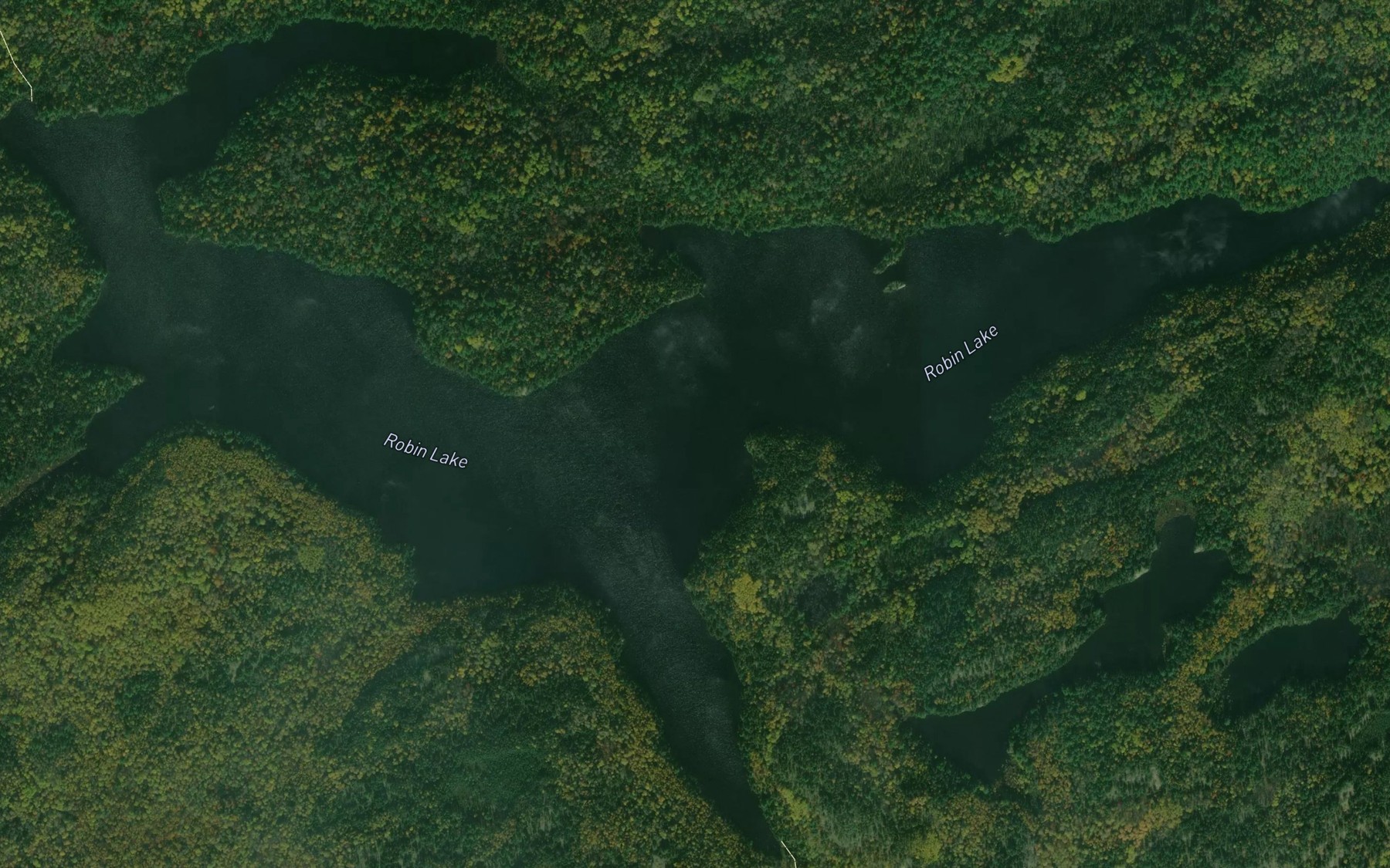 Satellite map of the Robin Lake