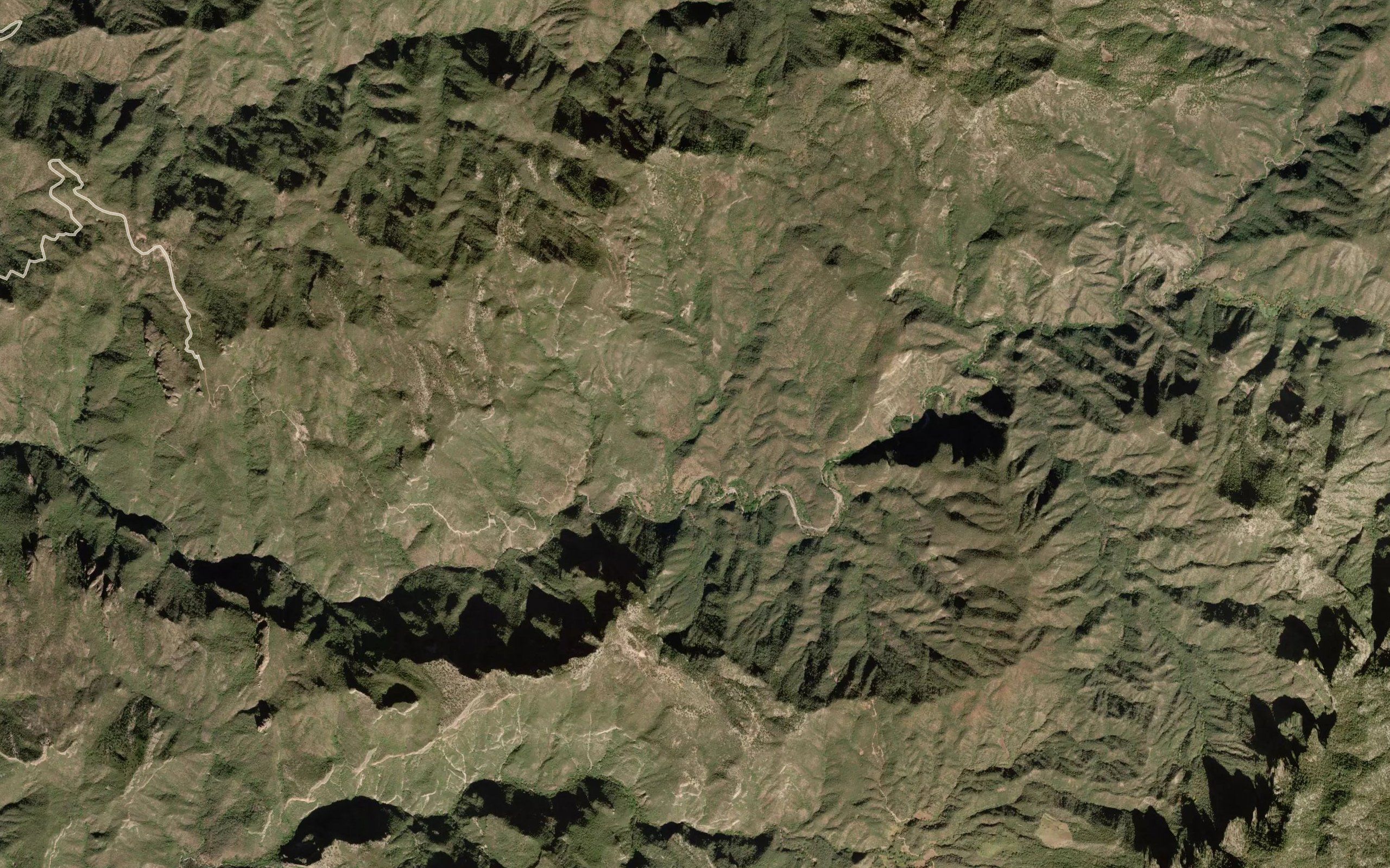 Barranca Saguaropa