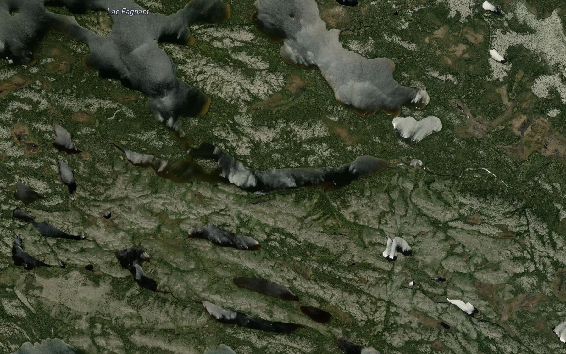 Satellite map of the Lac Aupasich