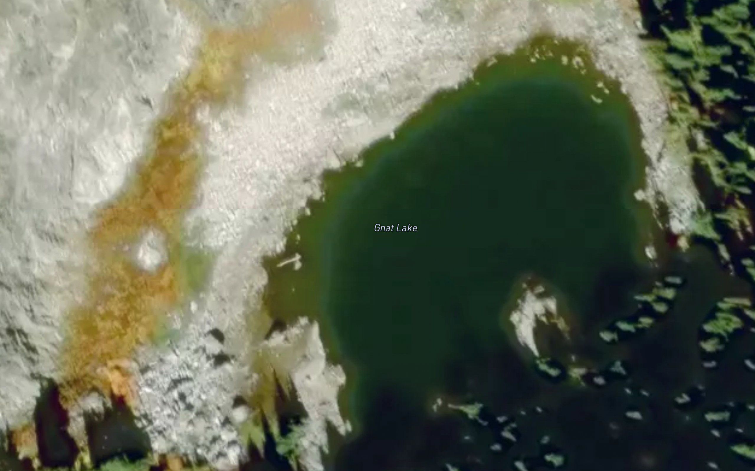 Gnat Lake