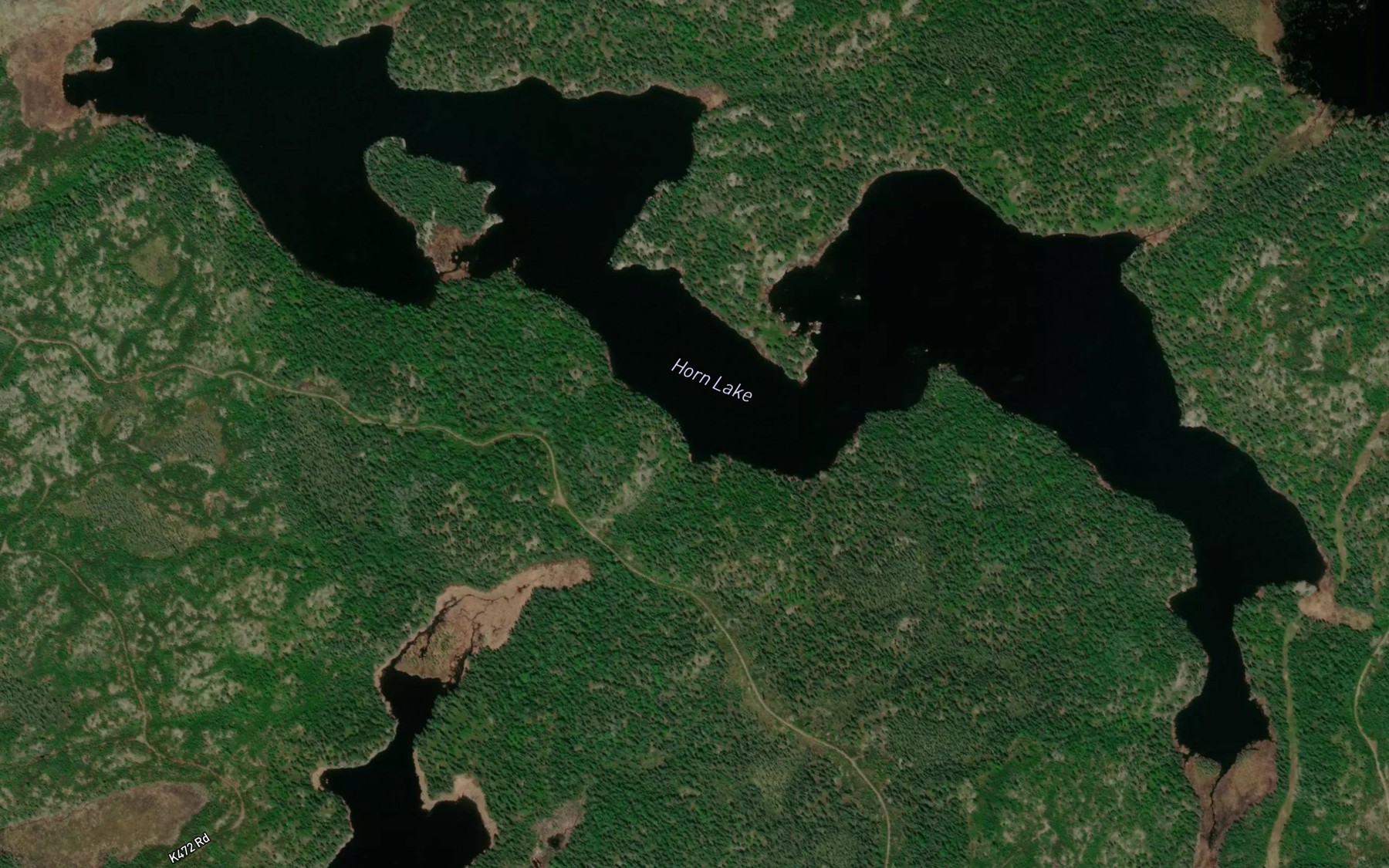 Satellite map of the Horn Lake