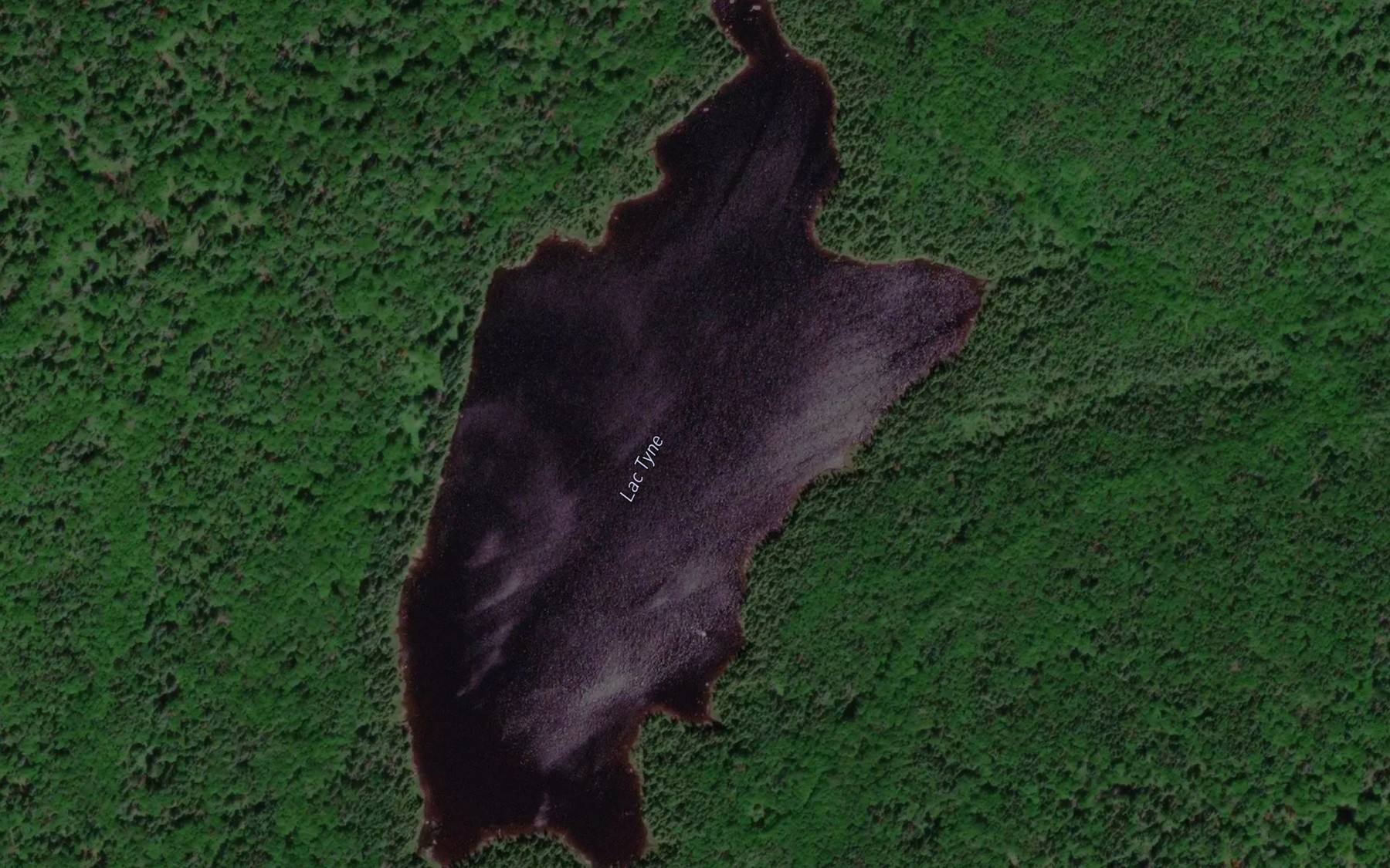 Satellite map of the Lac Tyne