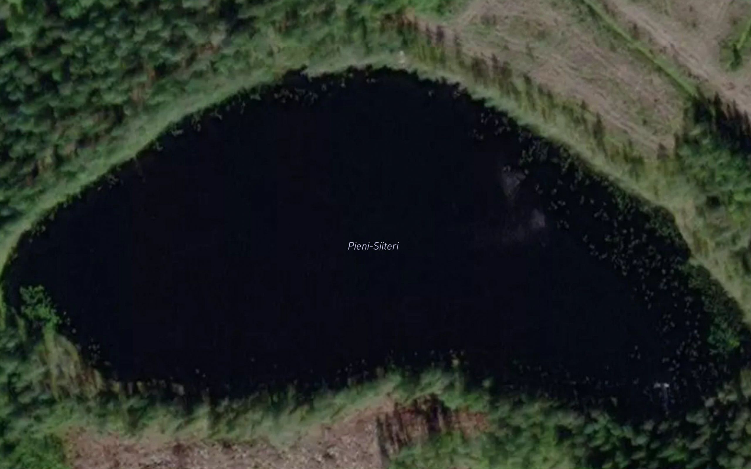 Pieni-Siiteri