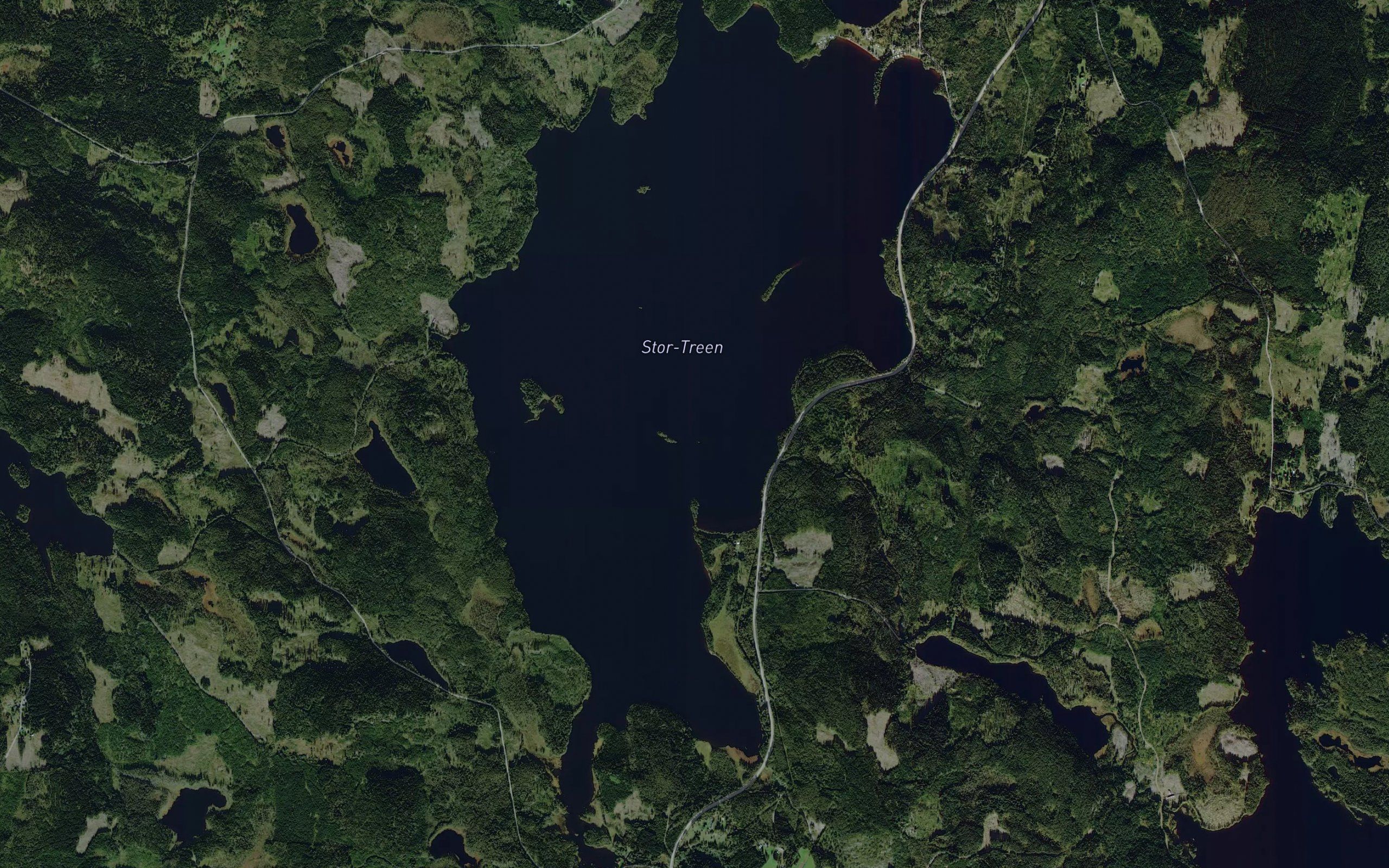 Stor-Treen